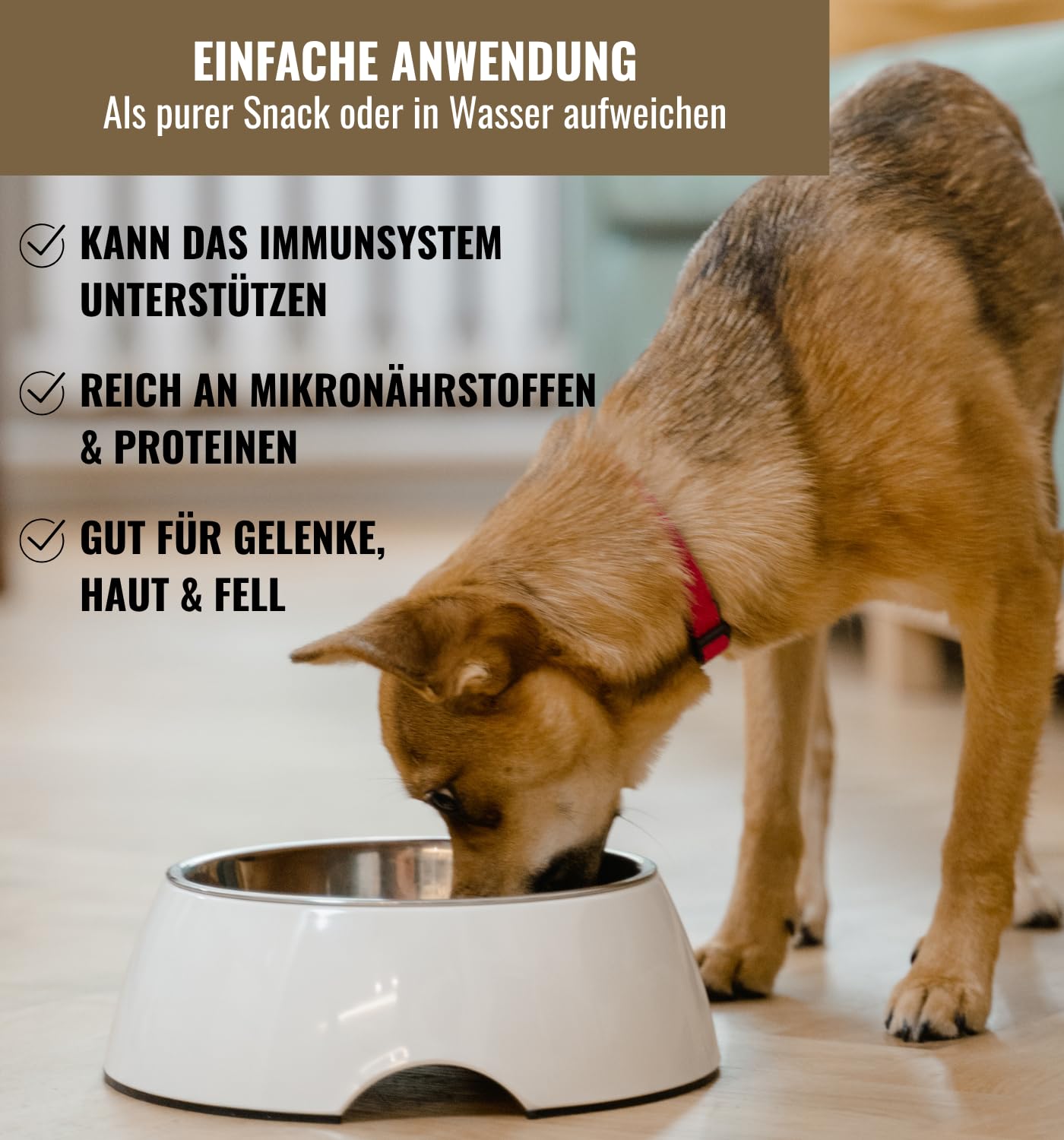 Pansen Mix Hundesnacks 6x110 g Gefriergetrocknete Hundeleckerli aus Fleisch, Pansen, Blättermagen & Kalbsknorpel Proteinreich, natürlich & ohne Zusätze Für Barf & Training von RiNa Snacks Hunde