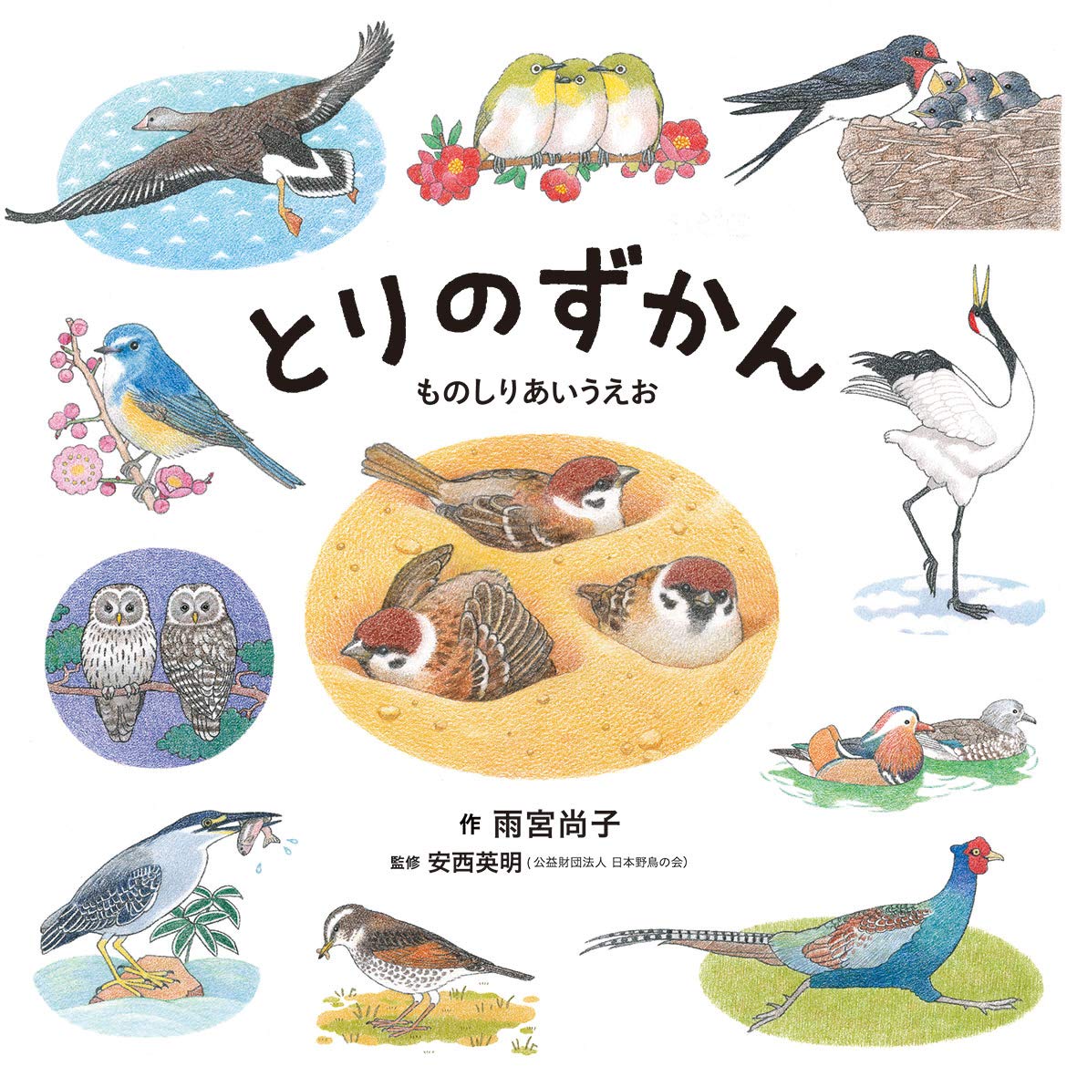 とりのずかん ものしりあいうえお コドモエのえほん 雨宮 尚子 安西 英明 本 通販 Amazon