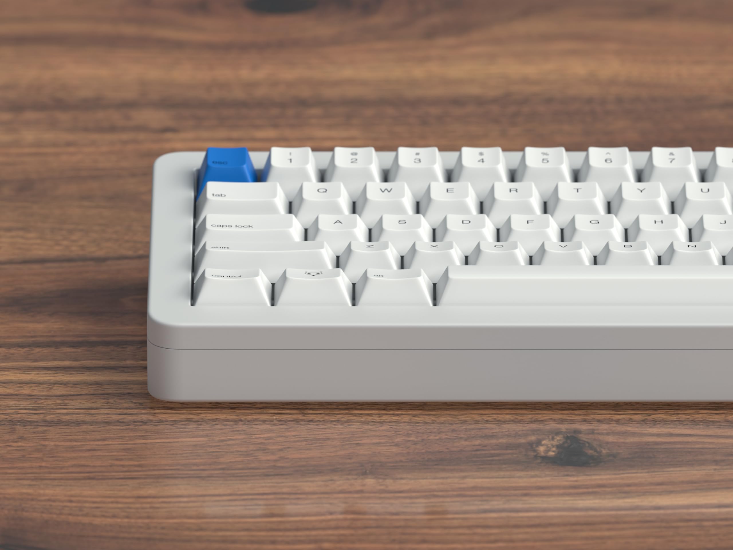 Amazon.com: Apos WhiteFox Eclipse Mechanical Keyboard (Aluminum 