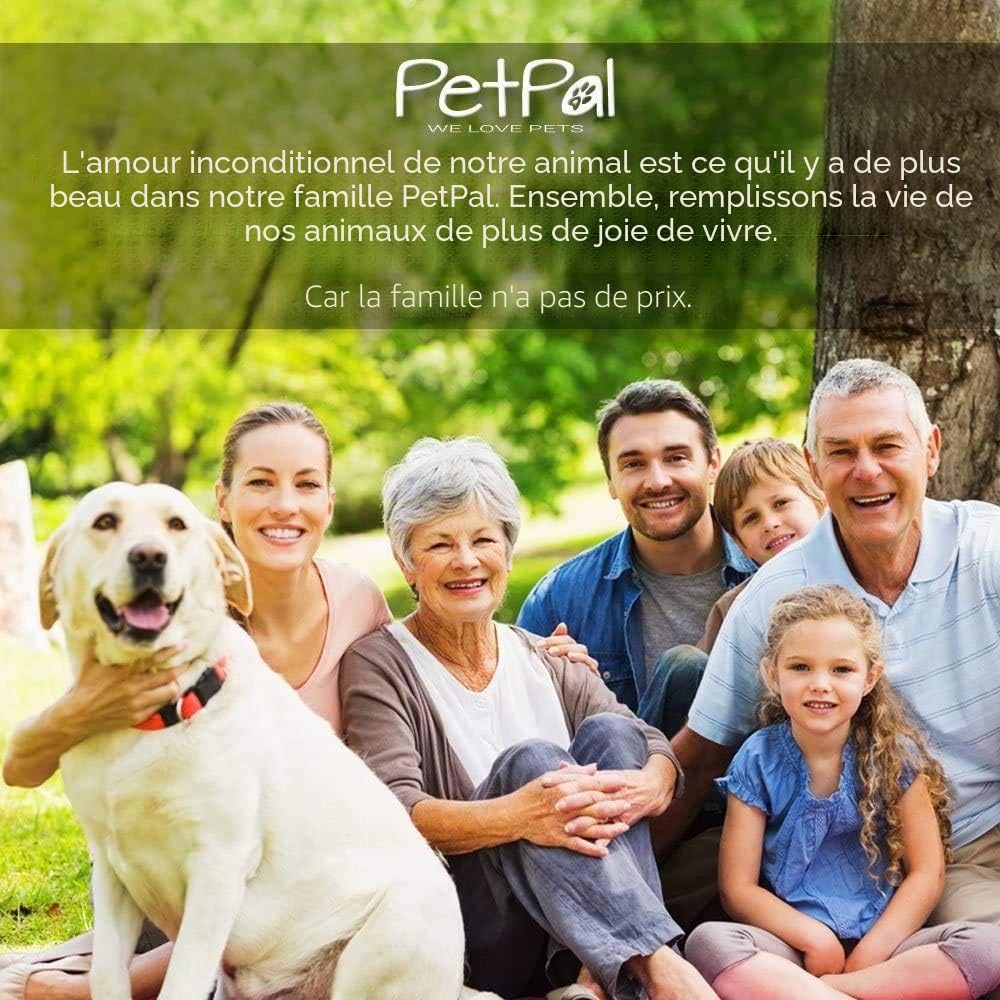 PetPäl Saucisse pour Chiens TuboSnack - Lot de 12: Crème de Saumon en Tube - Premium Friandise naturellement délicieuses sans Céréales, Sucre, Sel - Aussi pour Les Chiots - Made in Germany
