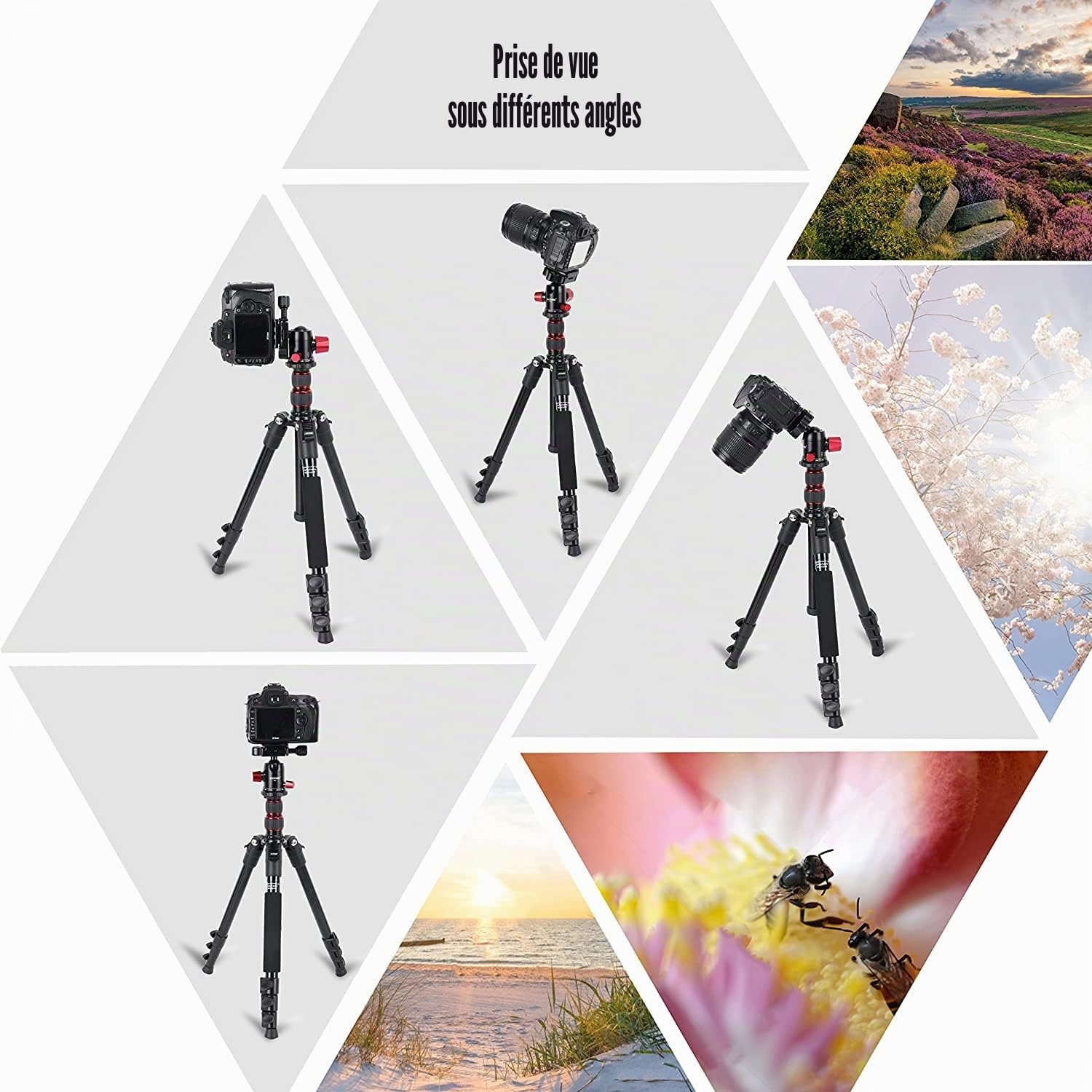 Trépied Appareil Photo, ZOMEI 138cm Trepied Monopode Voyage en Aluminium avec Support de Téléphone et Sac pour Caméra Smartphone Youtube TikTok Vidéo