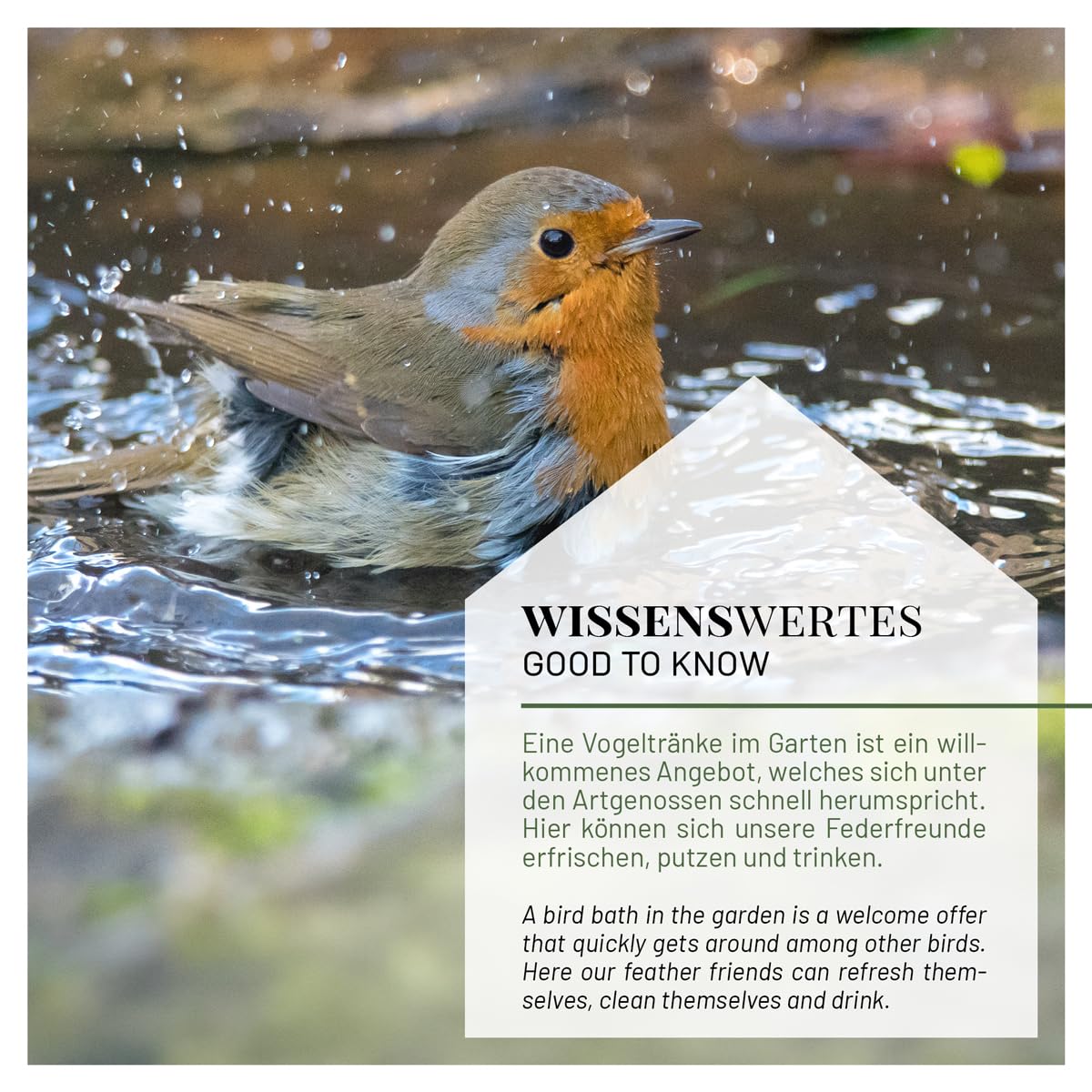 wildlife home Bain d'oiseaux debout sur piquet en fonte en forme de feuille - Bain d'oiseaux pour jardin, balcon - Résistant au gel - En fonte - Pour oiseaux sauvages