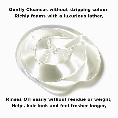 Miniatura 3 de NORMADENSE 2 Champú de biotina vegana para cabello seco y fino. Champú fortalecedor con aceite de argán y biotina (10.1 fl oz)