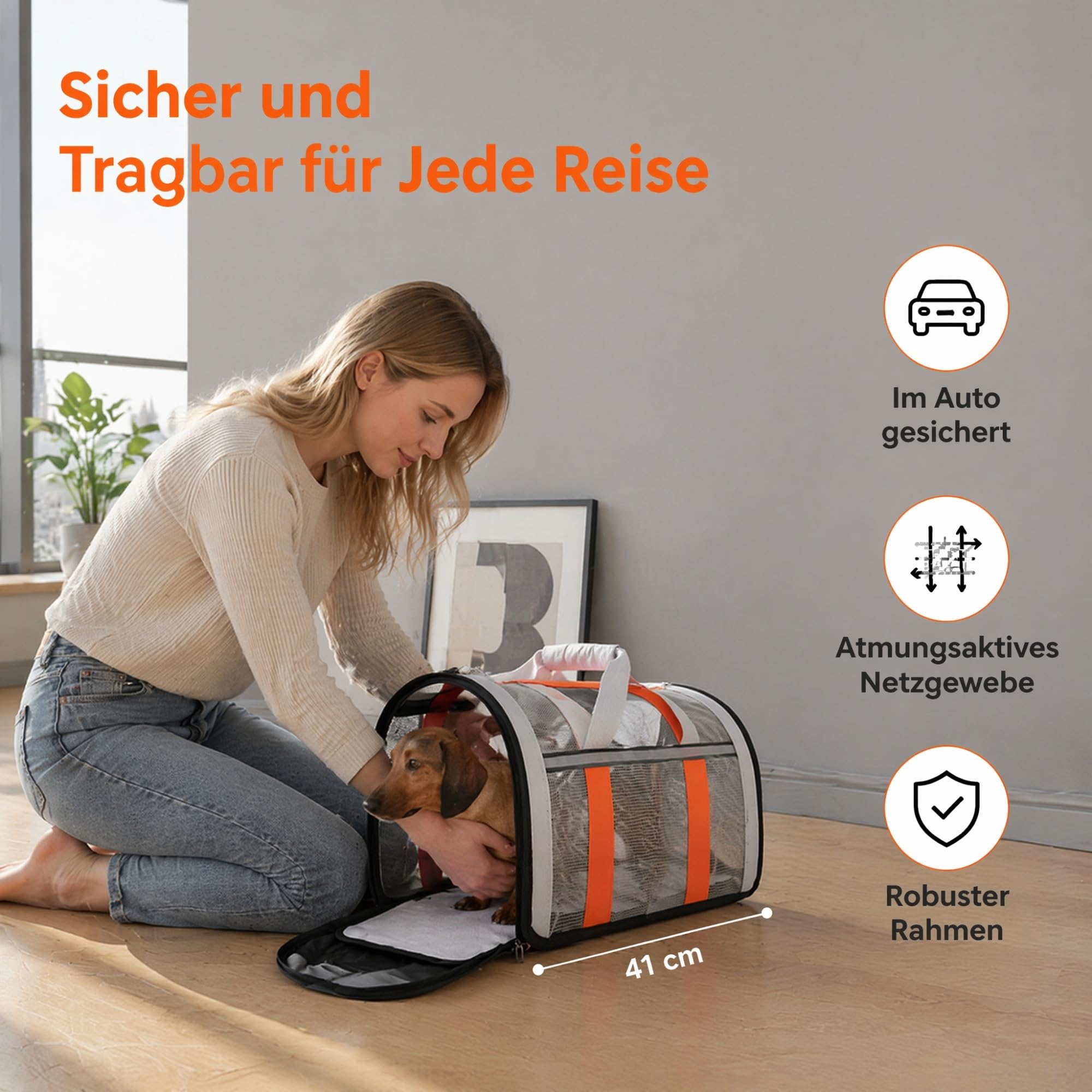 Hund Reisetasche,Transporttasche Für Haustiere,Netzstoff Faltbar Atmungsaktiv Robust Tragbar Transportabel, für Katzen & Hunde Bis 10 Kg
