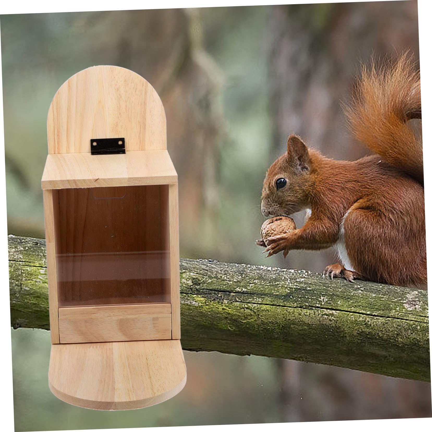 ibasenice Mangiatoia Per Scoiattoli in Legno Contenitore Per Cibo Per Scoiattoli e Uccelli Uso Esterno Nel Giardino Materiale Naturale Resistente e Riutilizzabile