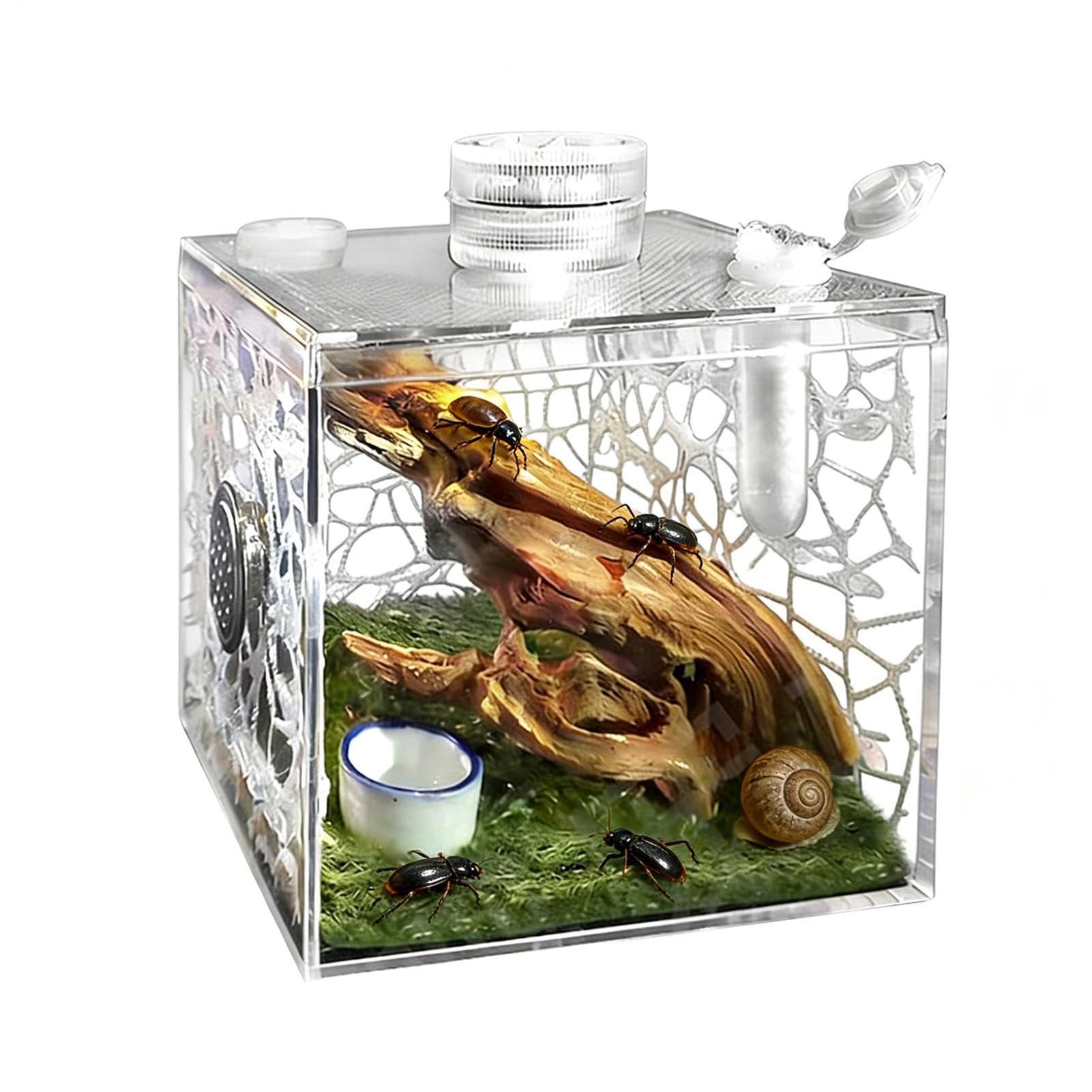 Recinto para Arañas Saltadoras, Juego De Cría De Reptiles Acrílico Transparente con Recinto, Paisaje, Dispositivo De Ventilación, Plato, Dispositivo De Iluminación para Tarántulas Arbóreas — view 9