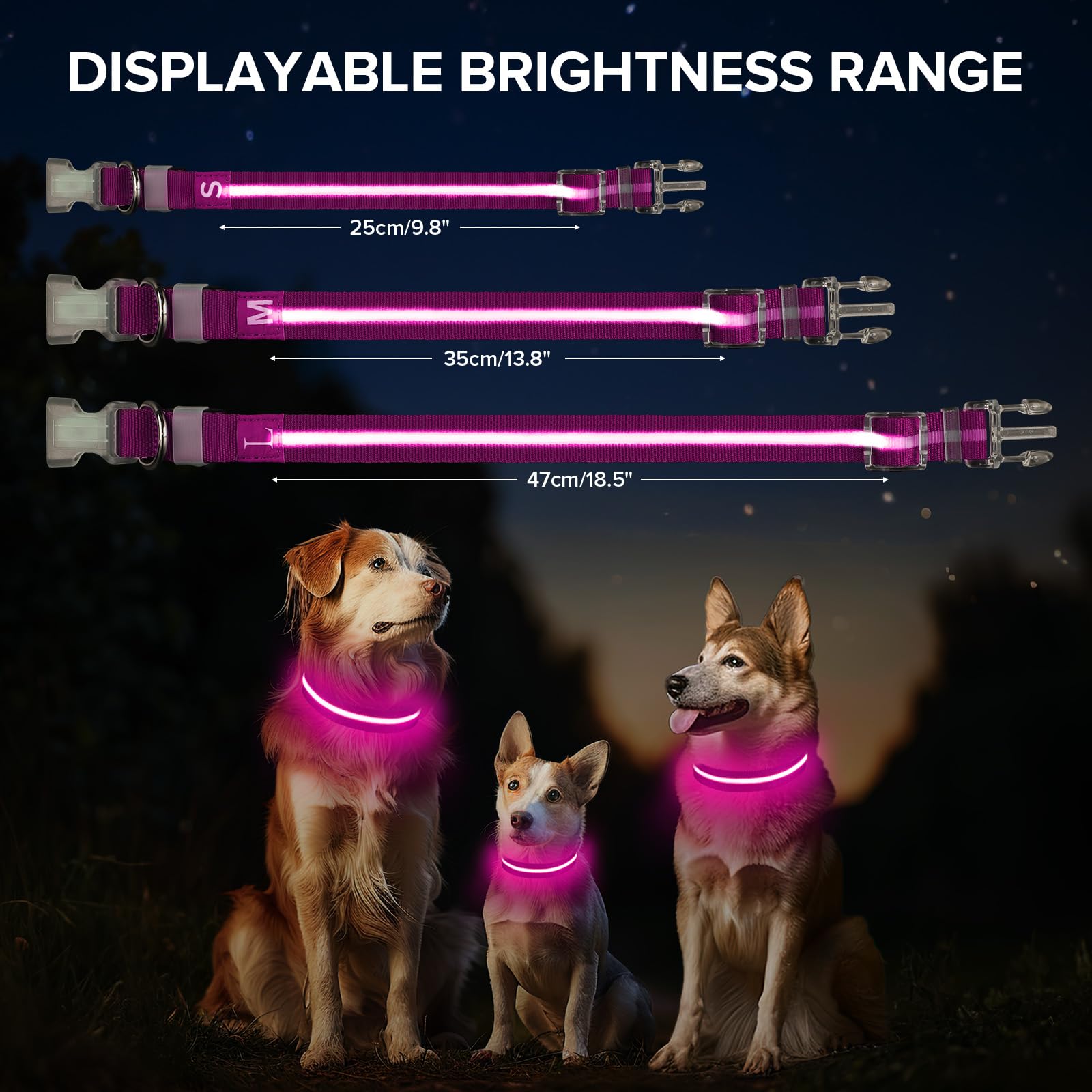 Collare per cani luminoso, regolabile, ricaricabile tramite USB, si illumina al buio, collare impermeabile per cani di piccola taglia (rosa, S)