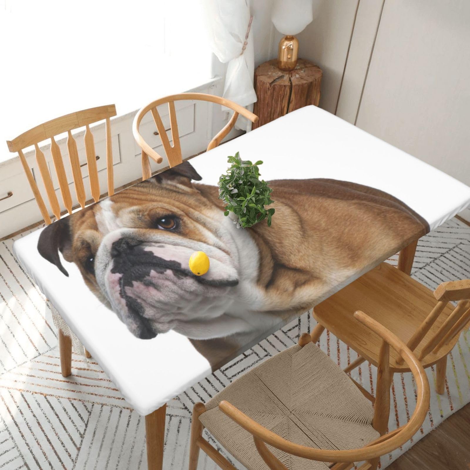 DCEHGEW Elastic Fitted Rectangle Tablecloth for 5ft Tables, English-Bulldog Printed Oilproof & Washable Fabric Picnic Table Cloth Table Covers