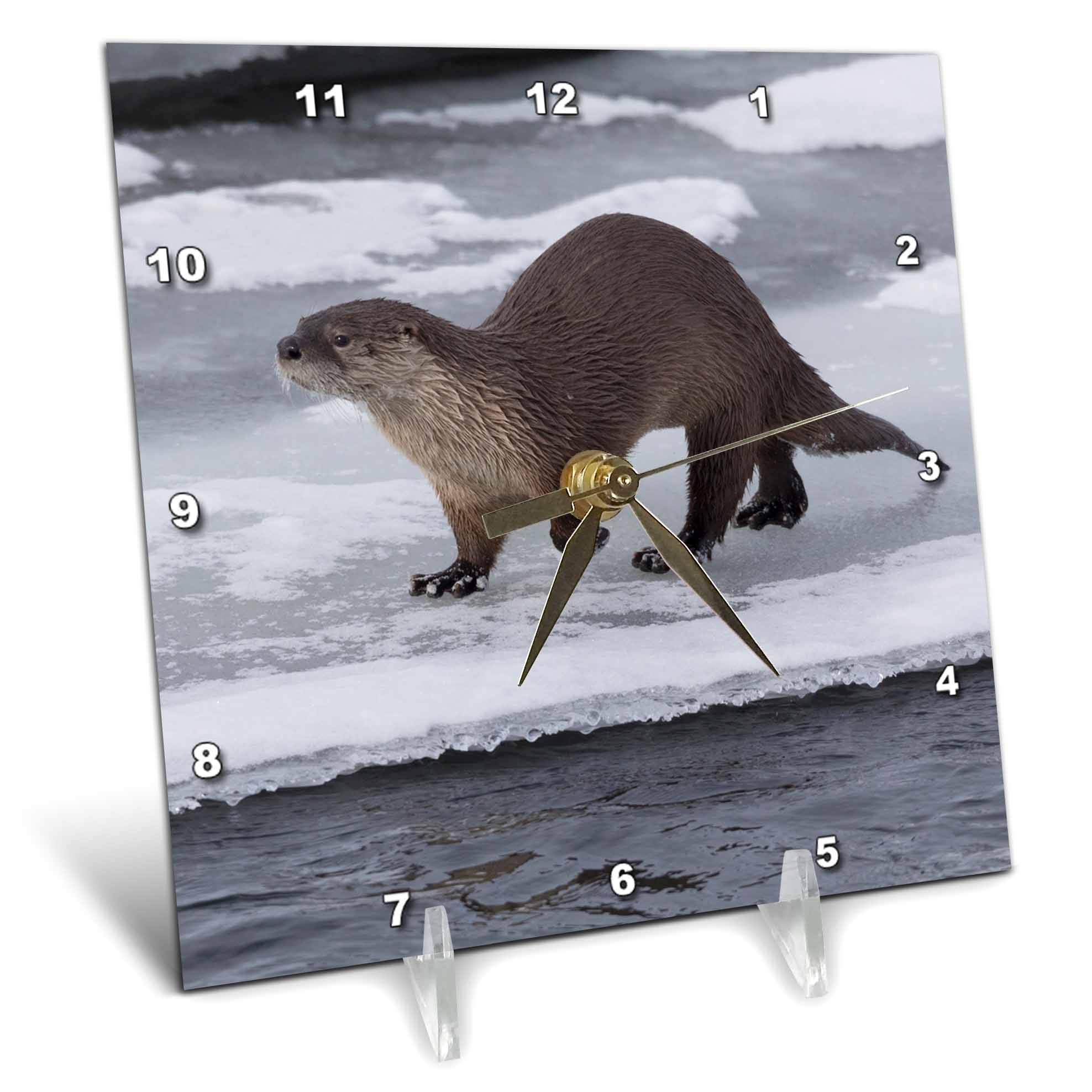 3dRose 6x6 Desk Clock - River Otter on ice Animals