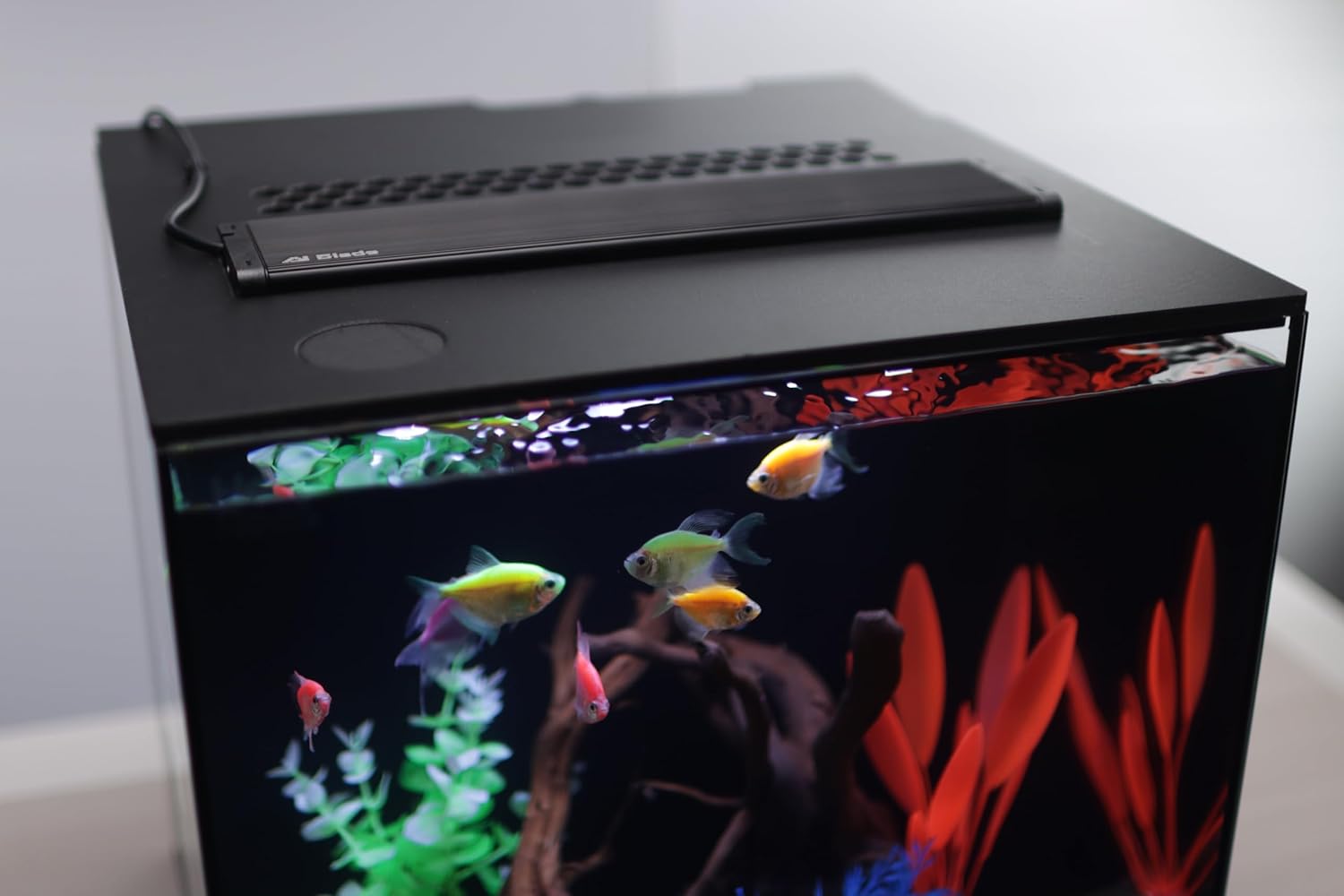 HelloReef 15 Gallon Glofish Complete Freshwater Aquarium Kit with App Controlled Smart LED Lighting, Filtration, Glofish Decor, and Guided Online Learning Center