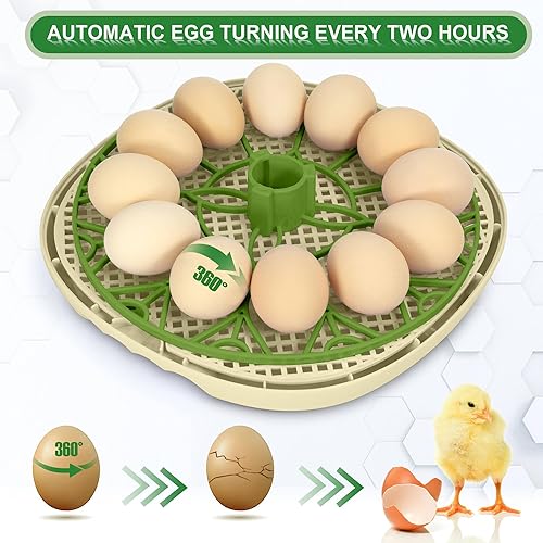 Miniatura 3 de WYD2ANG Incubadoras inteligentes de pollo para incubar huevos con volteador automático, aves, pato, codorniz, incubadora de 12 huevos, pantalla de