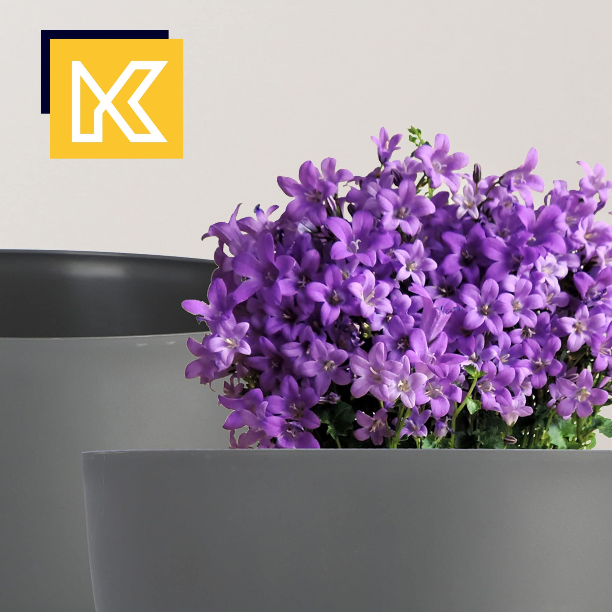 KADAX Vaso Rialzato in Plastica per Piante da Interno ed Esterno, Coprivaso Decorativo con Piedistallo Simil-Legno (Set di 2: 29 e 39.5 cm, Grigio Scuro)