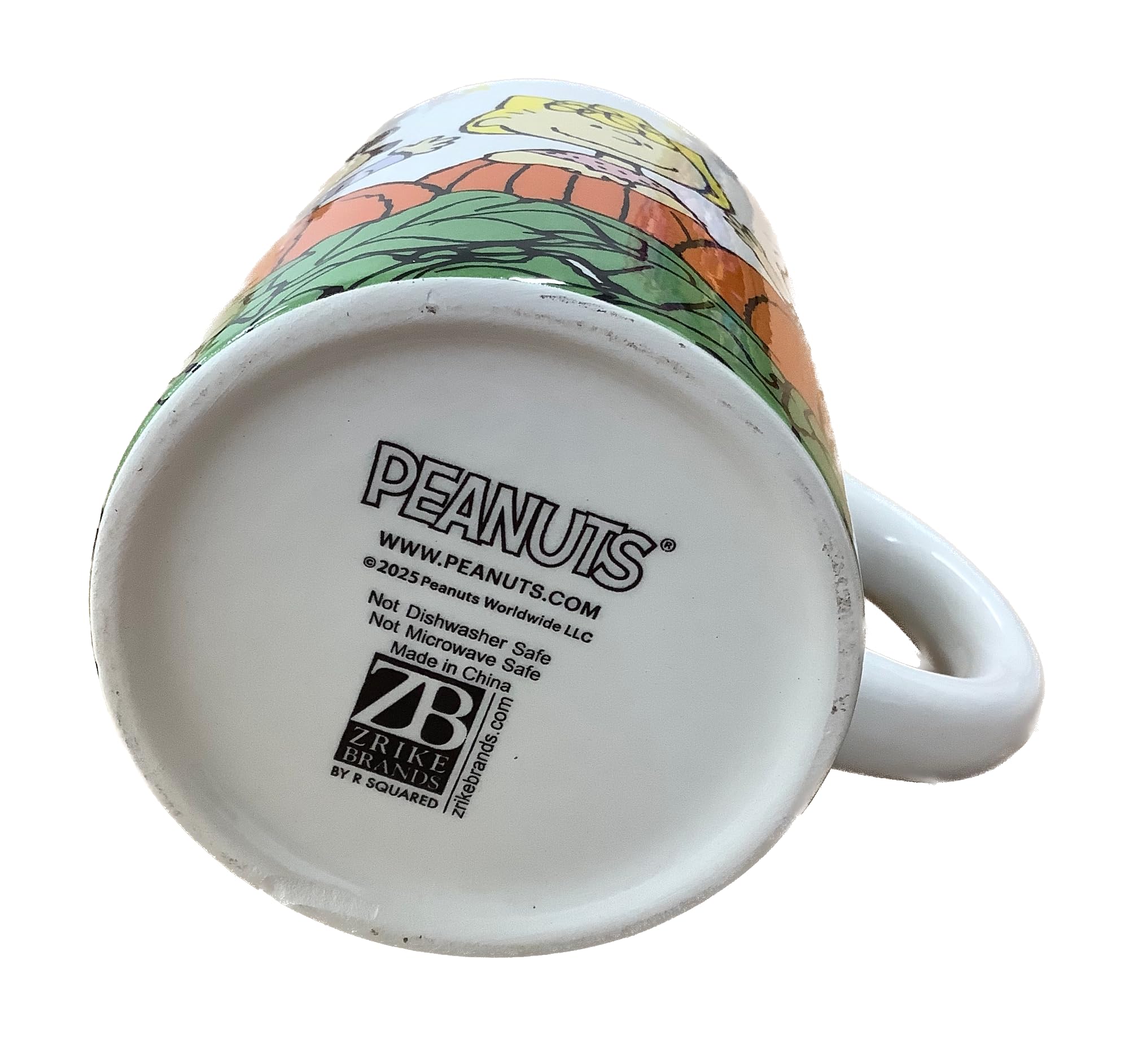 Amazon.com: Peanuts Gang Pumpkin Patch Halloween Coffee Mug