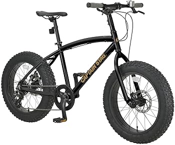 【バニストア】キャプテンスタッグ(CAPTAIN STAG) 20インチ Amazon | キャプテンスタッグ(CAPTAIN STAG) 電動アシスト自転車