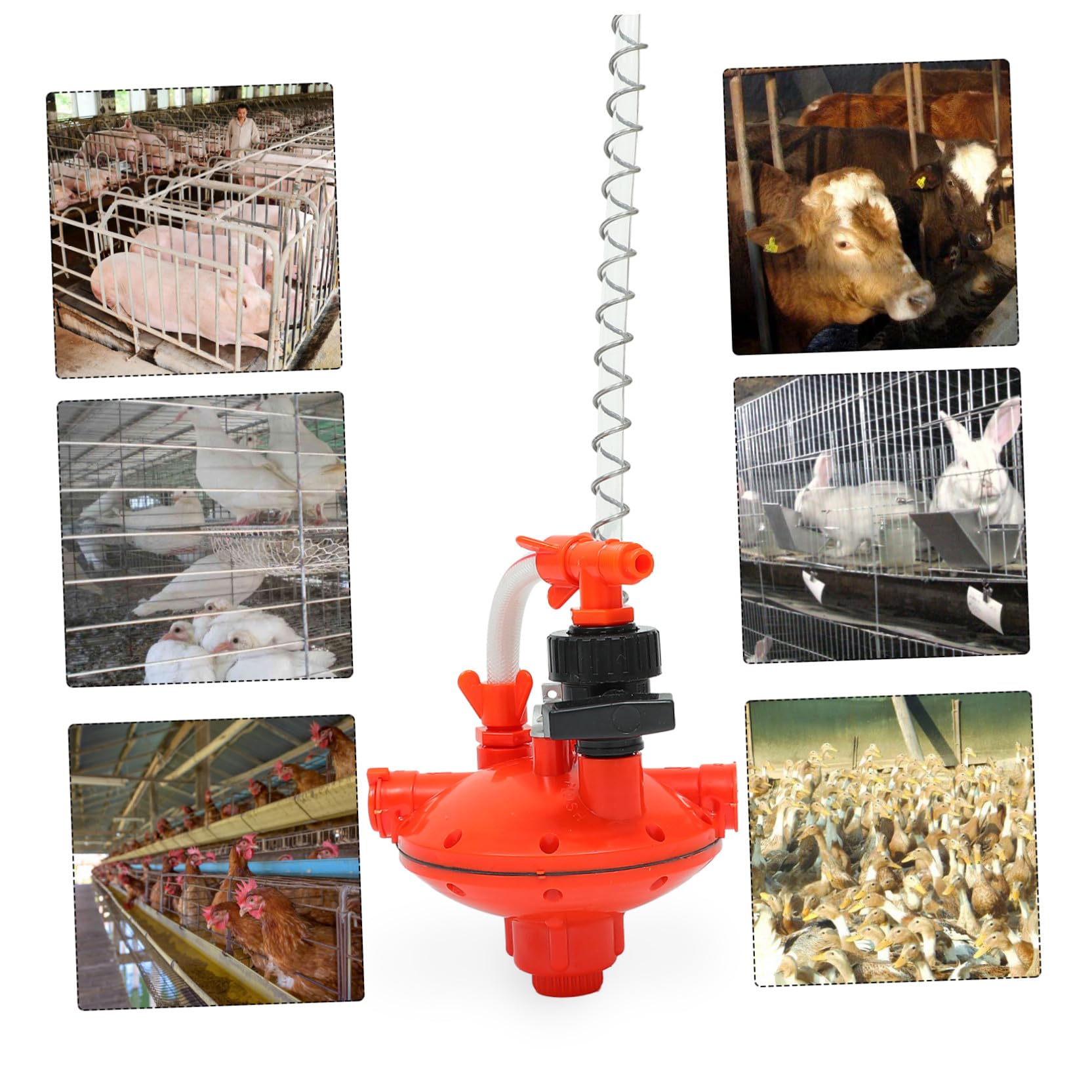 Abbeveratoio per Polli Regolatore di Pressione, 1 Pezzo | Rosso in Plastica, Design Leggero e Prevenzione Perdite, per Allevamento Avicolo