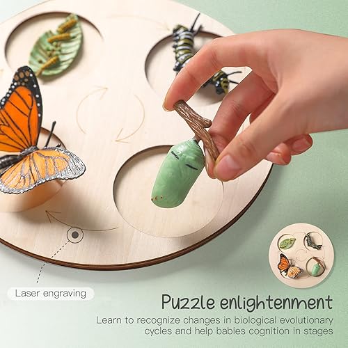 Miniatura 3 de Tabla de madera de haya de doble cara para bandeja de juguete Montessori para ciclo de vida Montessori, materiales Montessori preescolar,