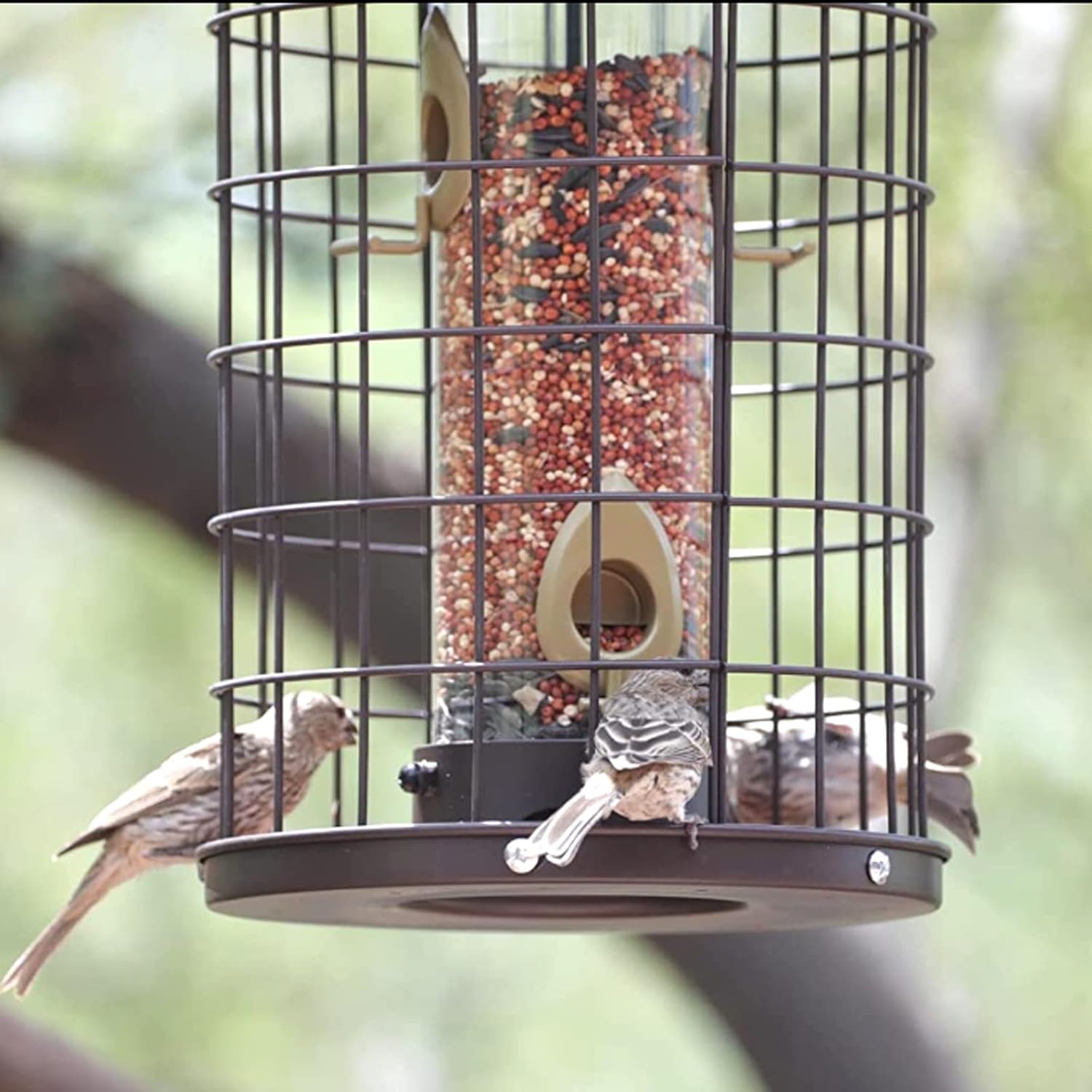 Caged Bird Feeders Metal - 3 Lbs - Squirrel-Proof Wild Bird Feeders, Clear Tube Feeders Hanging Outside Starling Proof, Detachable Cleaning, 4 Feed Ports(Copper) - Image 7