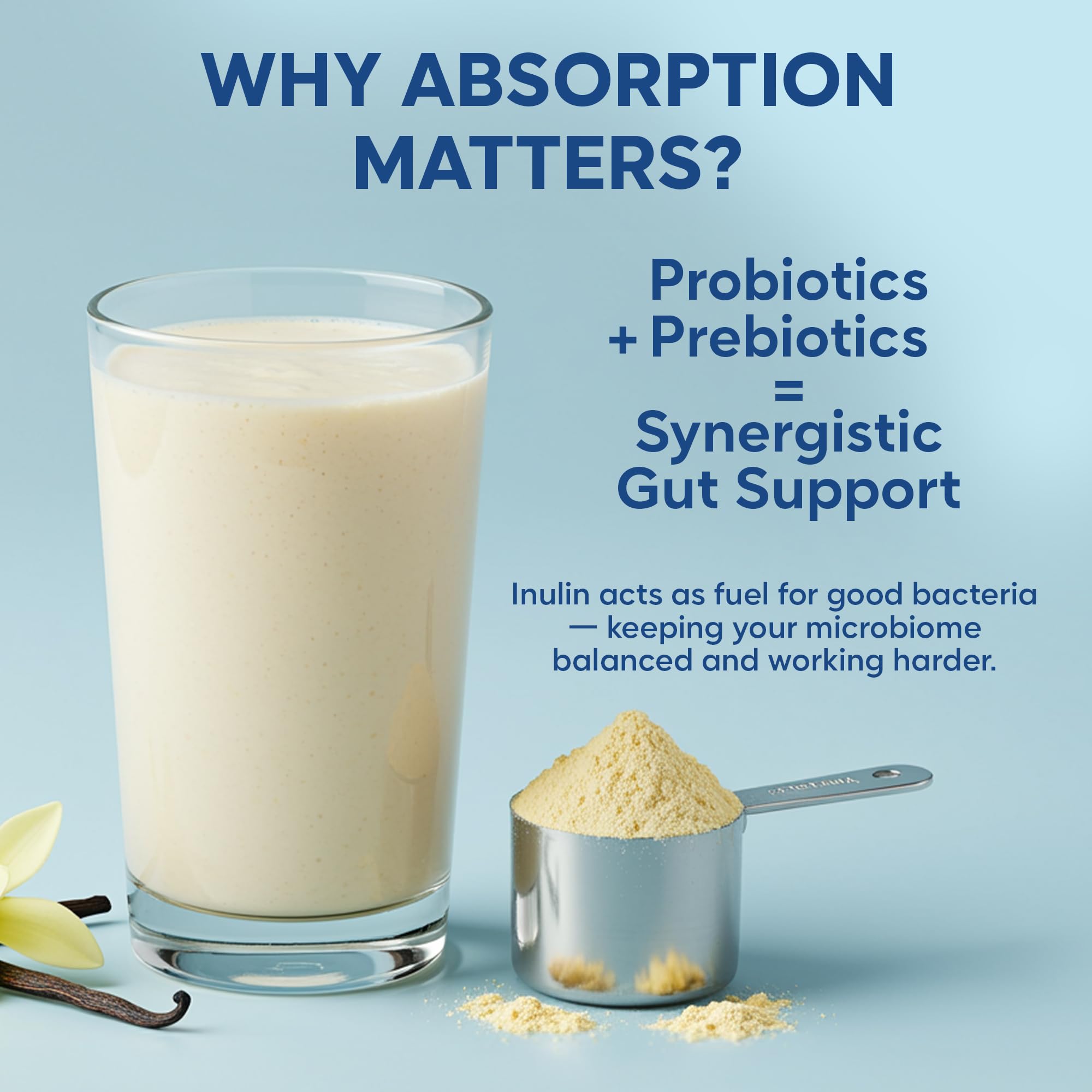 Foodstrong Gut Friendly Plant Protein - Vanilla | 24g Complete Plant Protein with Probiotics, Digestive Enzymes, Prebiotics & Indian Herbs | Vegan | No Sugar | 500g — Amazon image 6