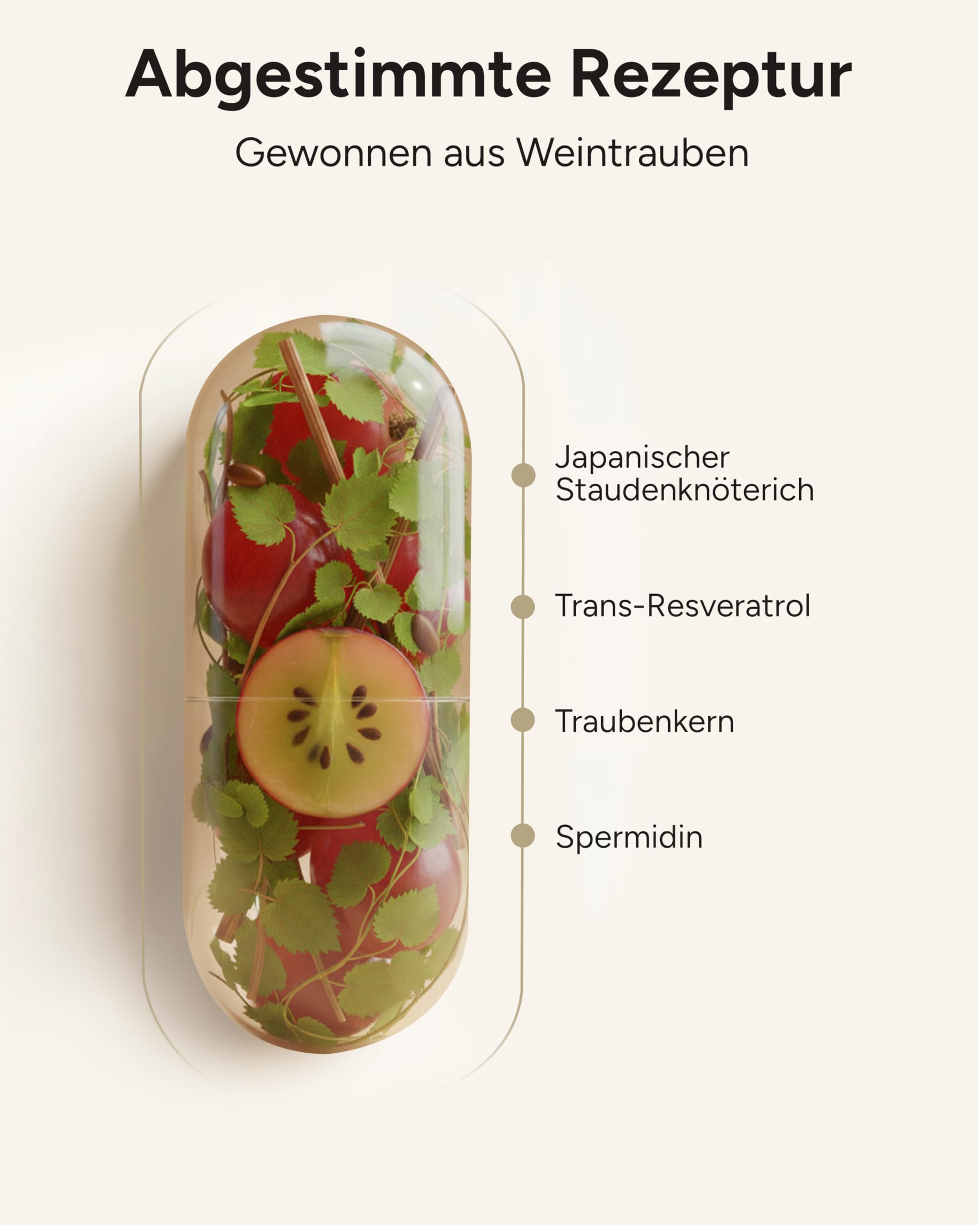 120 Spermidin Kapseln hochdosiert - Spermidin 6mg & 800mg Trans Resveratrol hochdosiert - einzigartige Kombination - 2 Monatsvorrat