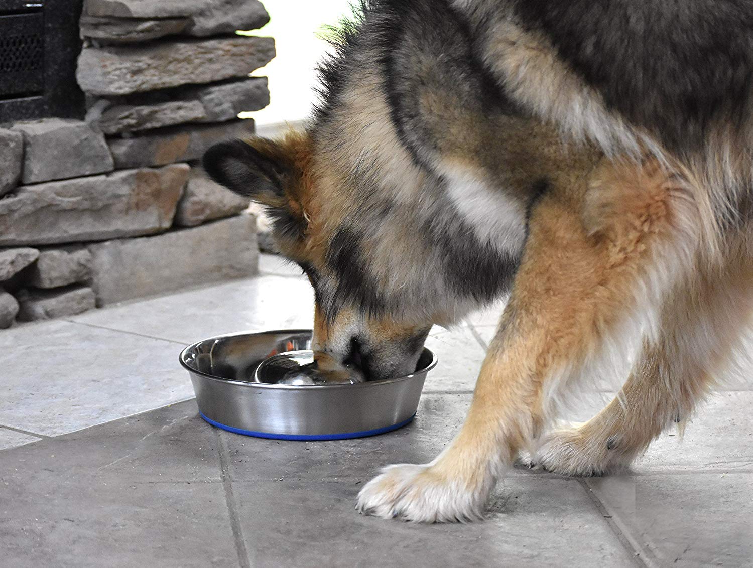 OurPet's DuraPet Slow Feed Premium Stainless Steel Dog Bowl, Silver (2040010301) - image 7