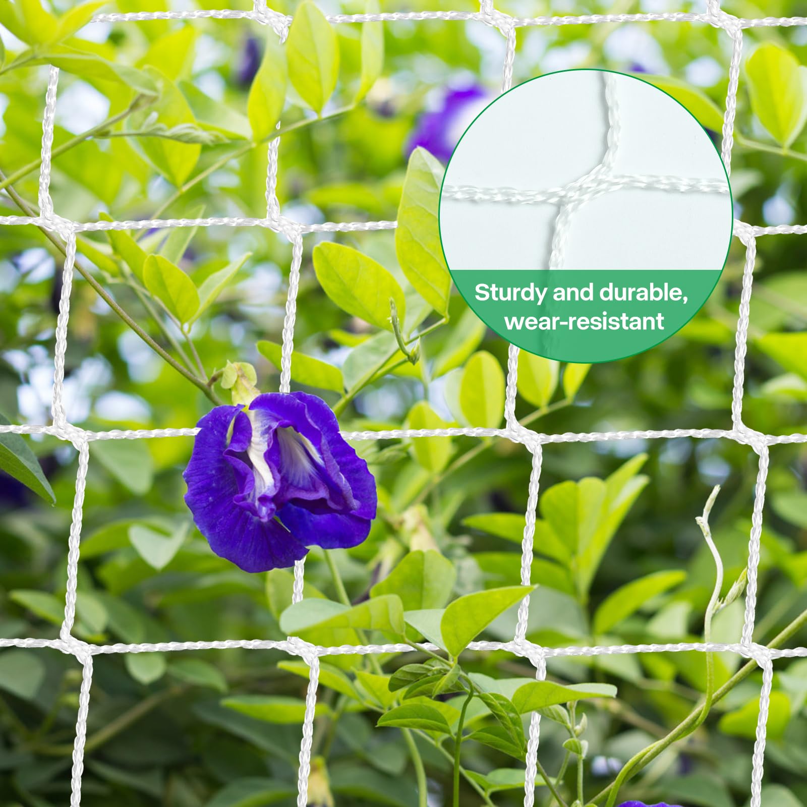 Filet pour Plantes Grimpantes 1.5 x 4.5M Support Jardin Potager Treillis Exterieur