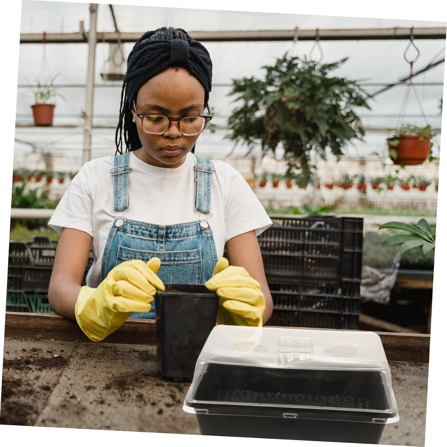 Totority 5sets Plastic Plant Germination Tray Dome Cover Reusable Nursery Box for Flowers and Vegetables for Greenhouse Gardening and Propagation