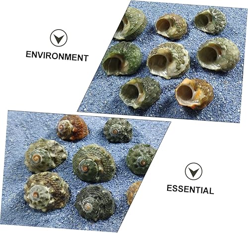 Miniatura 3 de NOLITOY 200 piezas de decoración de caracol de siete estrellas, decoración de escritorio de trabajo, decoración de escritorio de oficina, accesorio