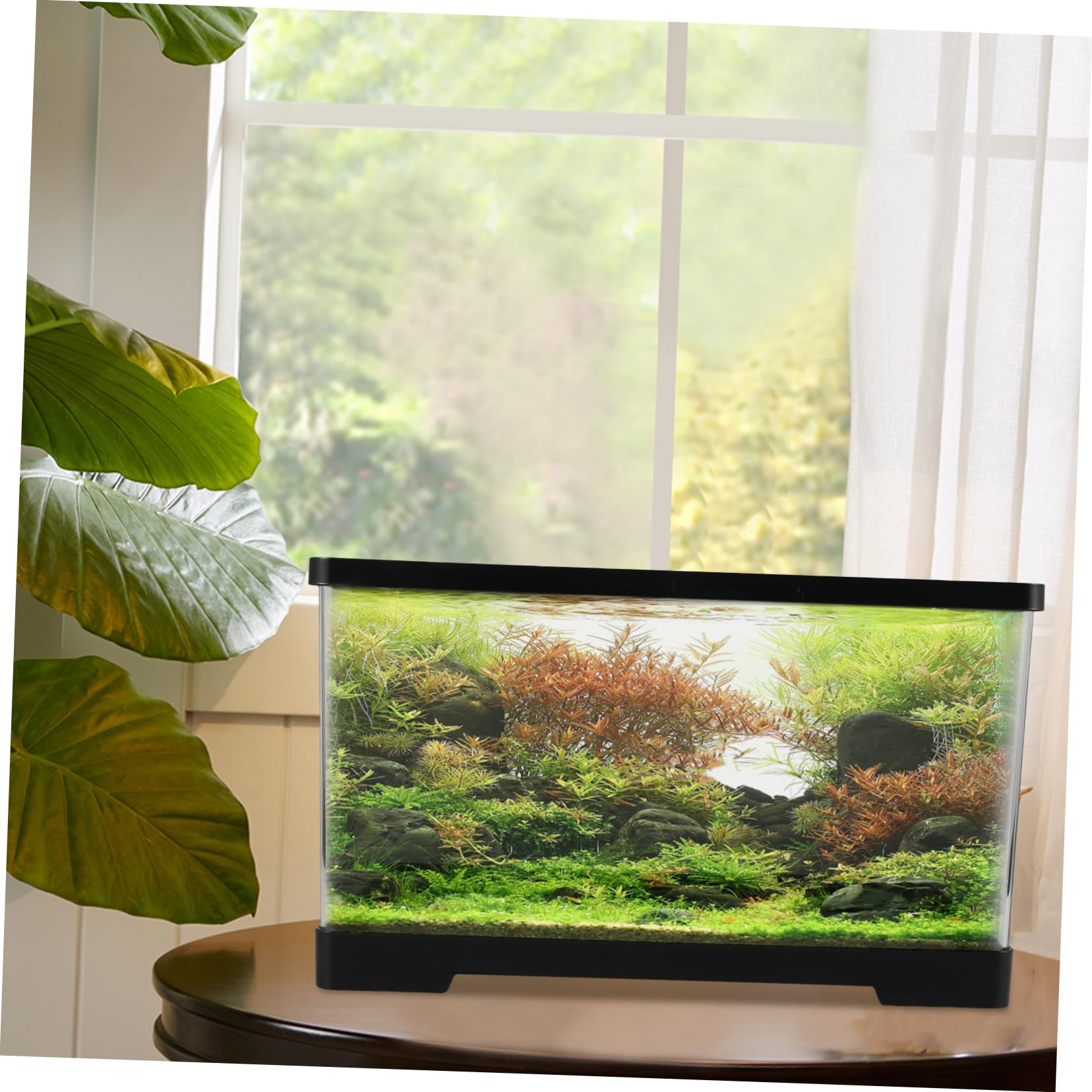 Abaodam Vasca delle Tartarughe Porta Acquario Trasparente per Pesci Rossi Betta Tank Vasca Dell'acquario Ciotola di Pesce Betta Ciotola Acquario Domestico Betta Acrilico Transparent