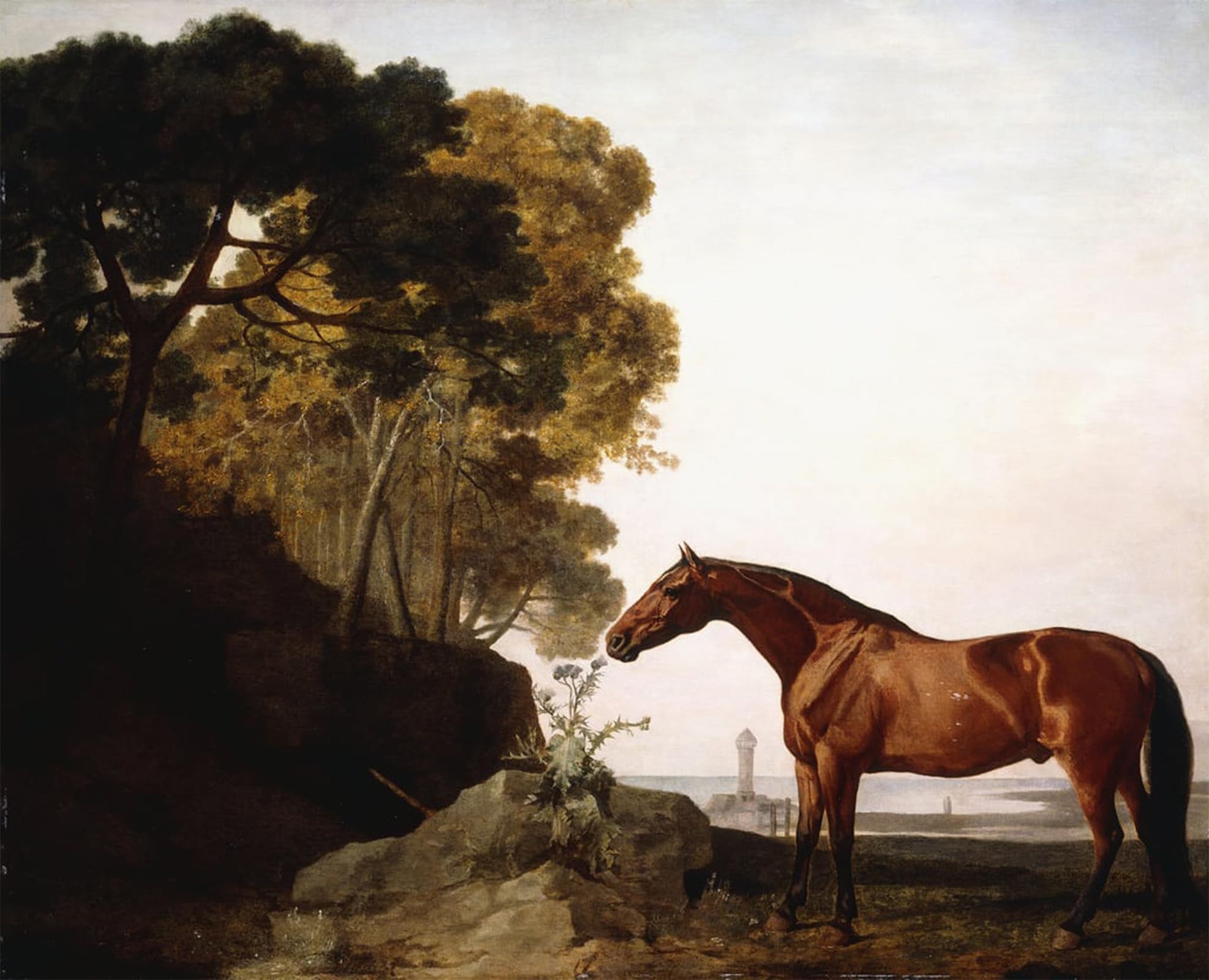 ARTXLXXBN Famous Painting Art Wall Decor Abstract Art Picture a Bay Arab in a Coastal Landscape by George Stubbs Animal Pictures for Home Decor 60x90cm