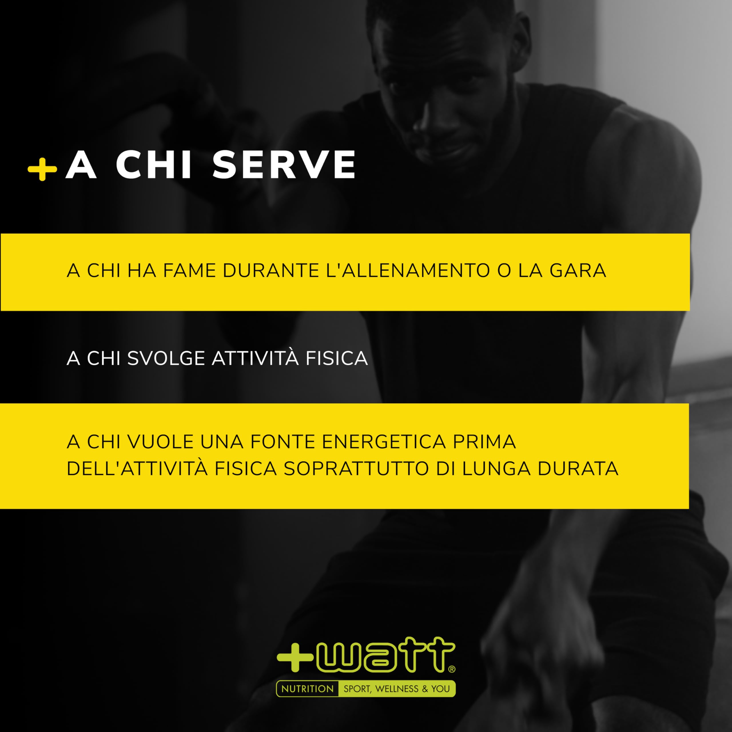 LONG RACE - Barretta Energetica ai Cereali con Farina di Avena, Cocco e Semi di Lino per Pre-Workout o Allenamenti di Lunga Durata (Box 12 Barrette, Limone)