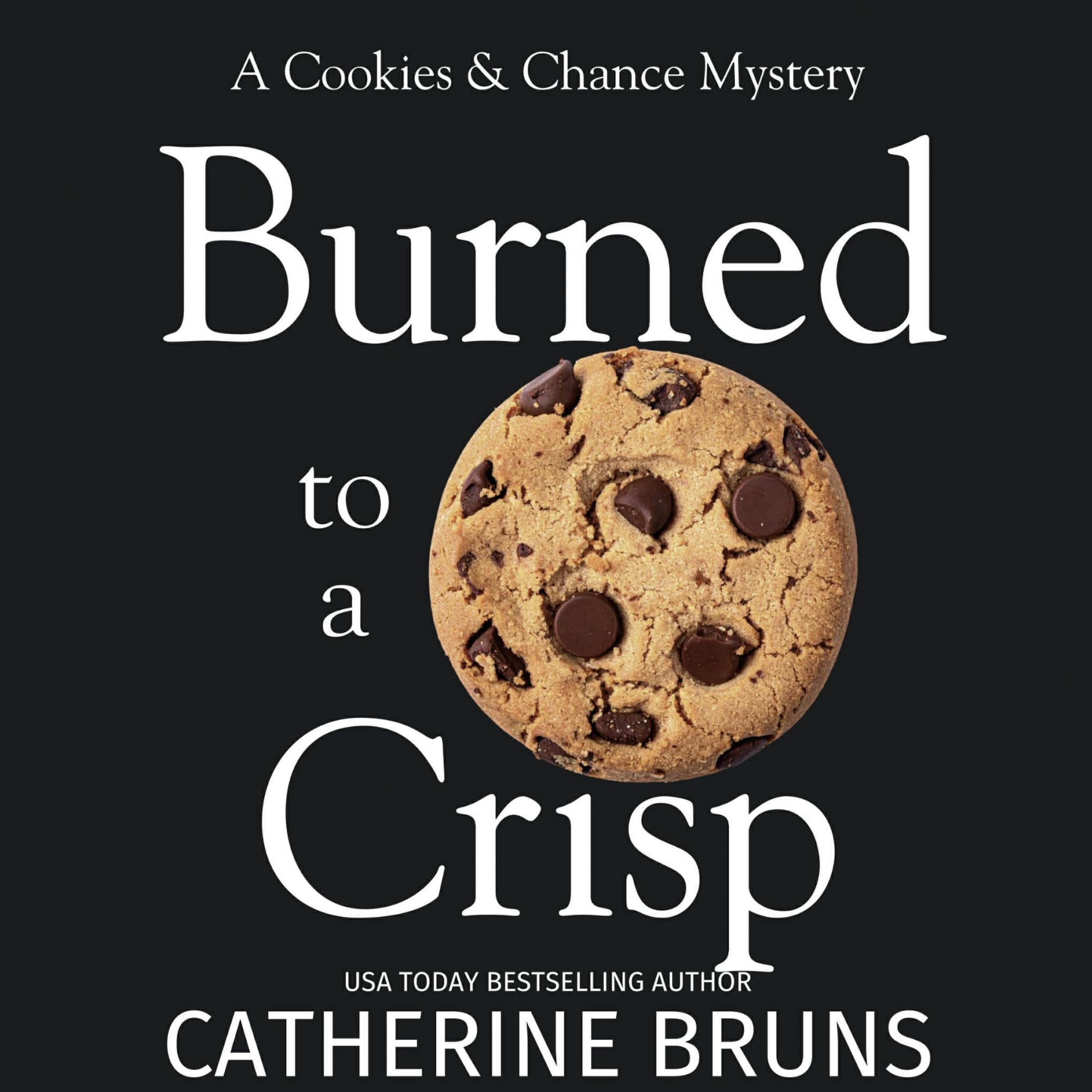 Cover art for Burned to a Crisp