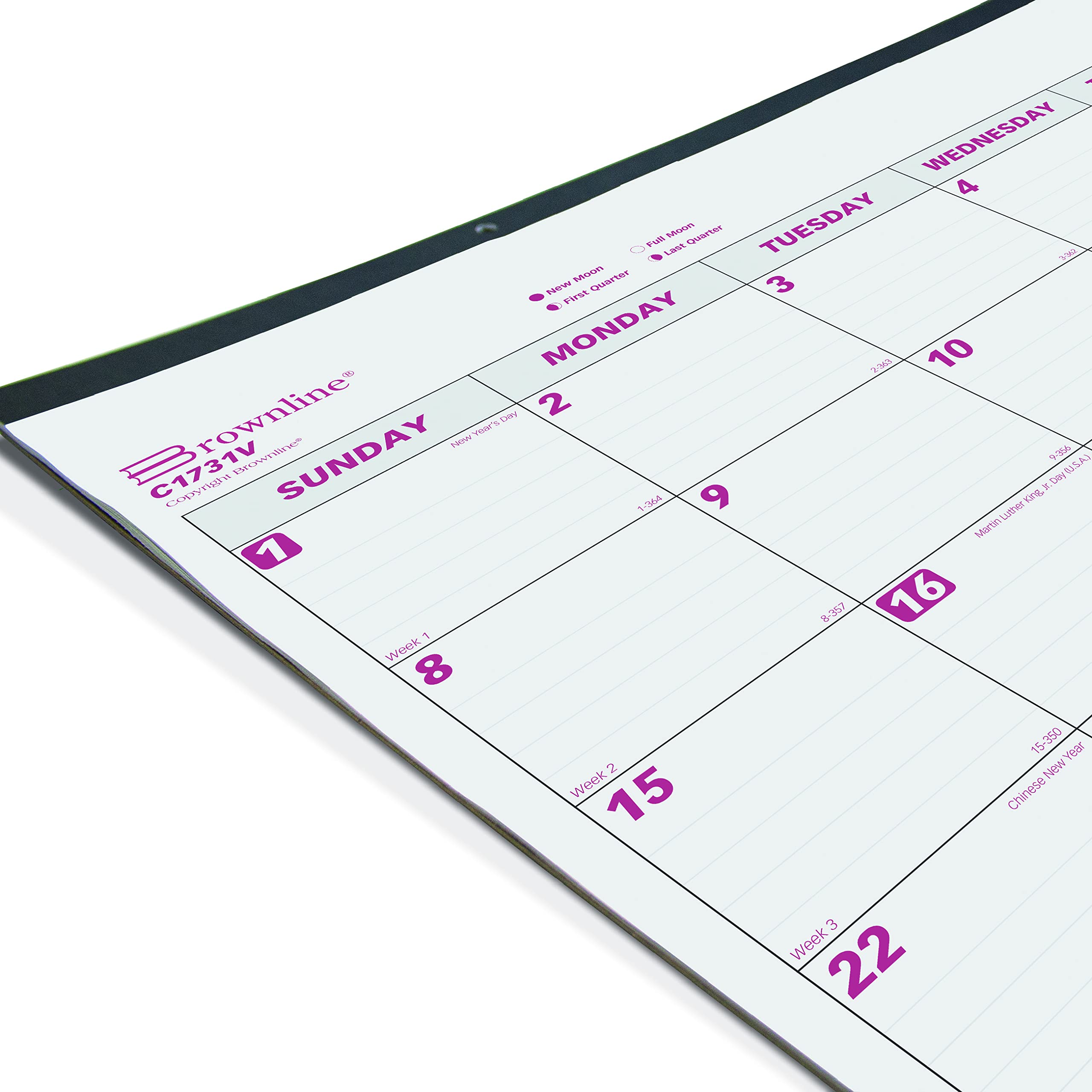 Brownline 2023 Monatlicher Schreibtischunterlage-Kalender mit transparentem Vinylstreifen, 12 Monate, Januar bis Dezember, 55,9 x 43,2 cm (C1731V-23)