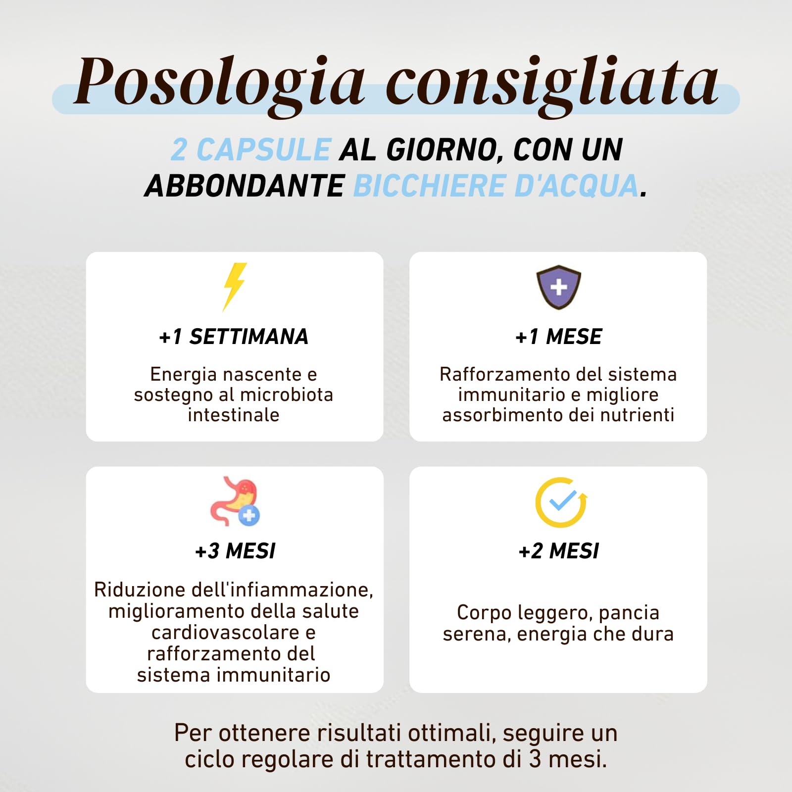 French Mush Shiitake Bio – 56 Capsule Vegane – Immunità, Digestione e Benessere Generale – Estratto Concentrato di Shiitake (Lentinula edodes) – 2 Capsule/Giorno – 100% Bio e Prodotto in Francia