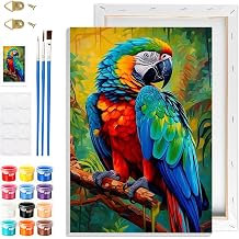 GHHKUD Birds Paint by Numbers Kits with Frame for Adults Beginners, DIY Animals Paint by Numbers for Kids, Painting Art on Canvas Gifts Home Wall Decor 20x30cm