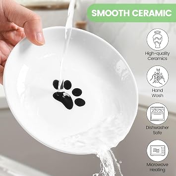 Elevated Cat Bowls, Raised Ceramic Cat Feeding Bowls and Kitten Dishes