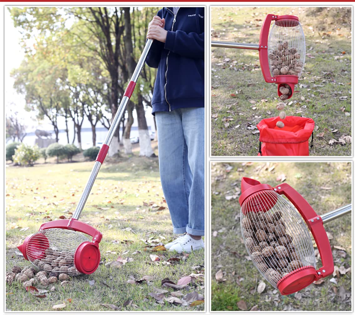 Réglable Collecteur d'écrous 57 Pouces avec Sortie à basculement Direct, Récolteuse de Fruits pour Châtaigne Gland Golf