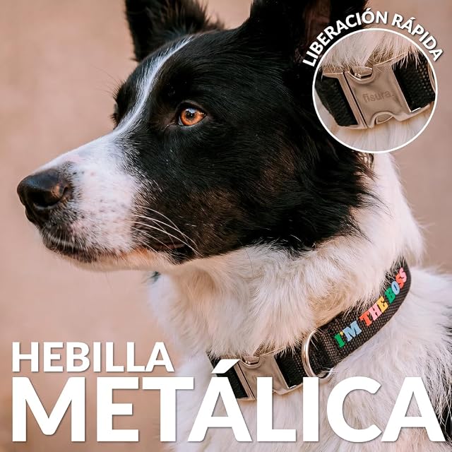 Foto 6 de 7 de Fisura - Collar para Perros Ajustable con Mensaje “I’m The Boss”. Collar de Nylon para Perro Mediano…