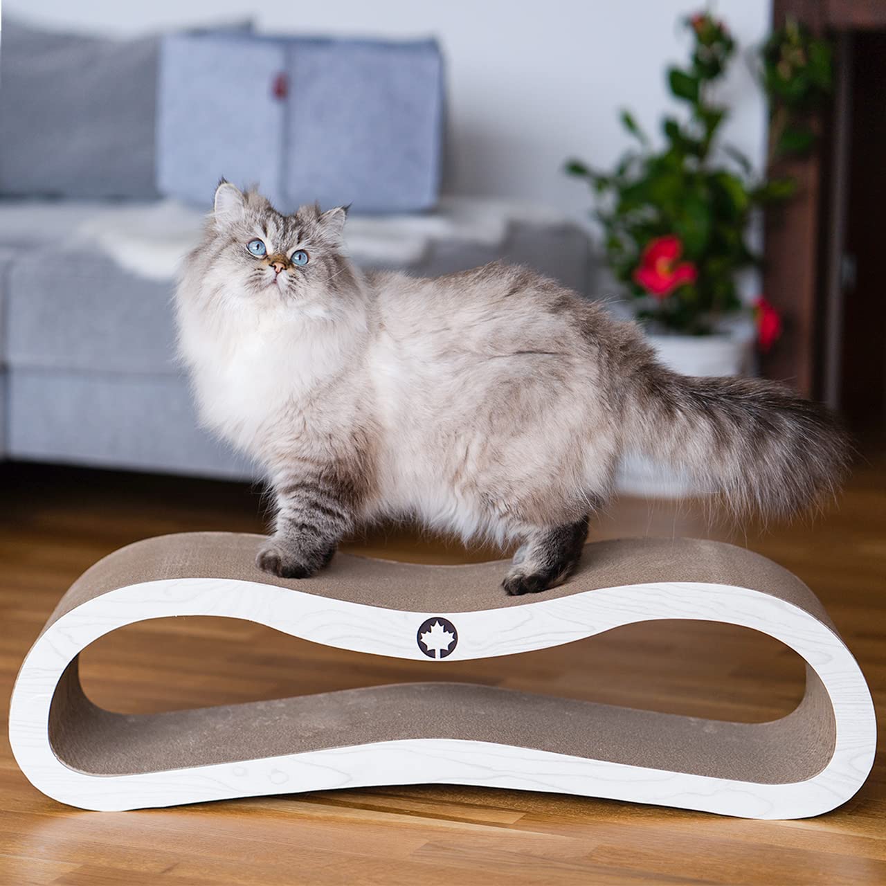 CanadianCat Company | Kratzbrett Orbit | hellgrau Holzoptik | Kratzmöbel, Lounge für Katzen | Kratzpappe + Katzenminze | ca. 84 x 24 x 23cm