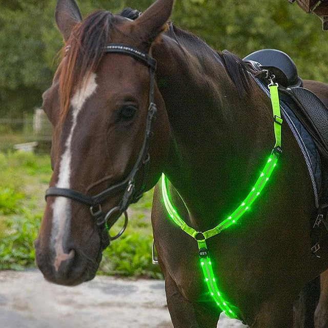 Foto 3 de 8 de AimdonR - Cortavientos LED para Caballos, con Placa para el Cuello, Alta Visibilidad, para Montar a Caballo…