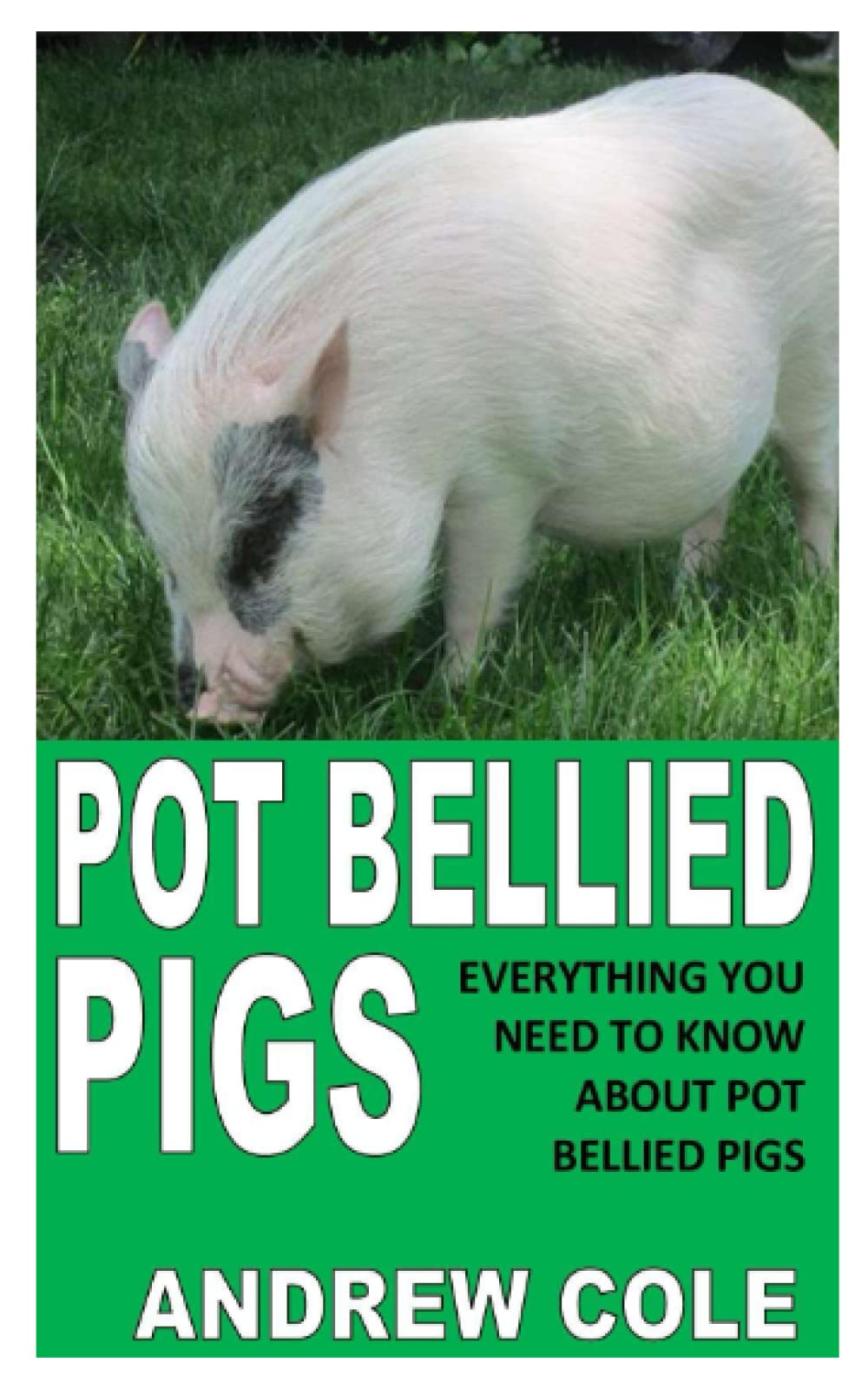 POT BELLIED PIGS: EVERYTHING YOU NEED TO KNOW ABOUT POT BELLIED PIGS