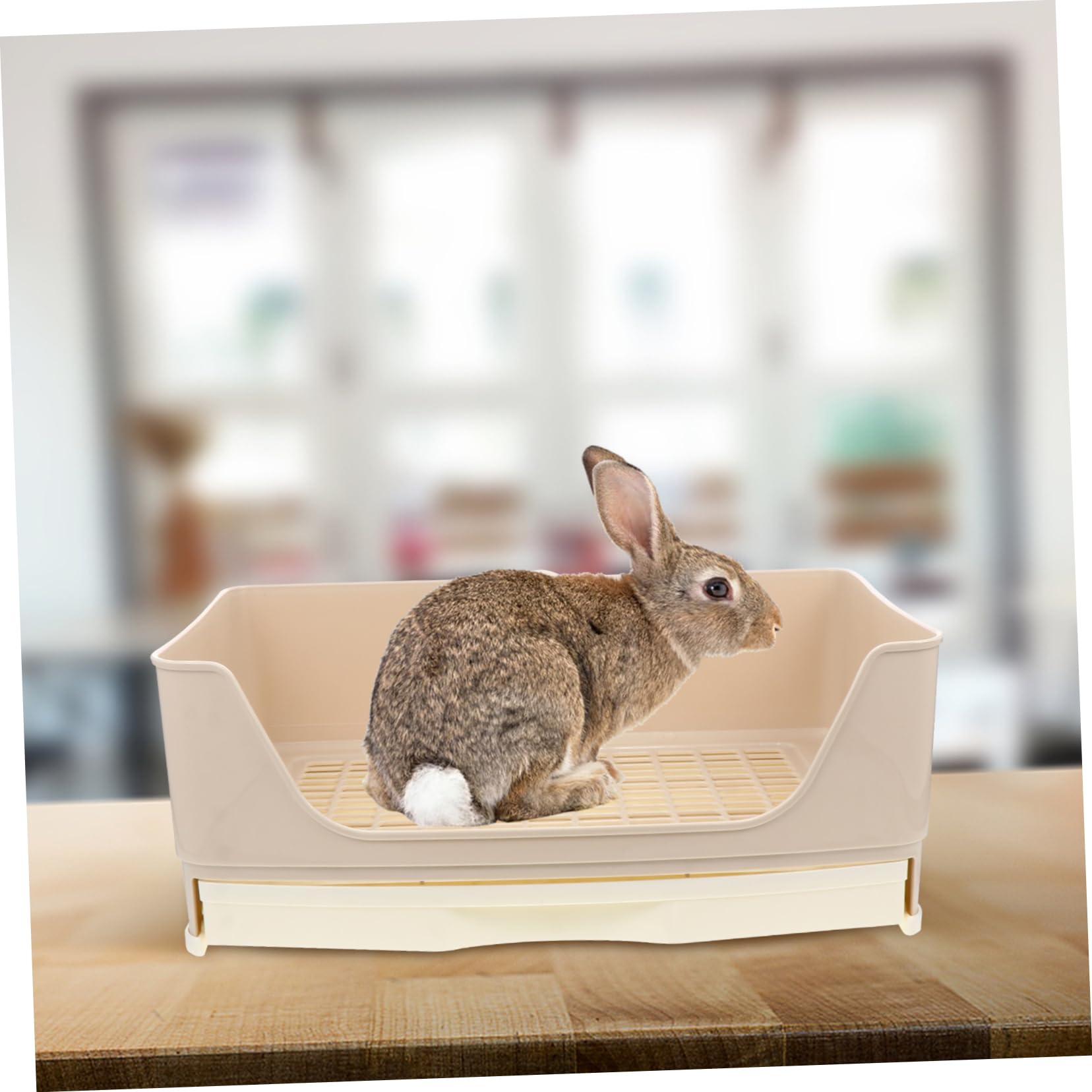 Lettiera per Conigli Grande a Cassetto in Plastica Beige | Cavie Adulte, Previene gli Spruzzi, Base Antiscivolo, Facile da Pulire, Spazio Ampio