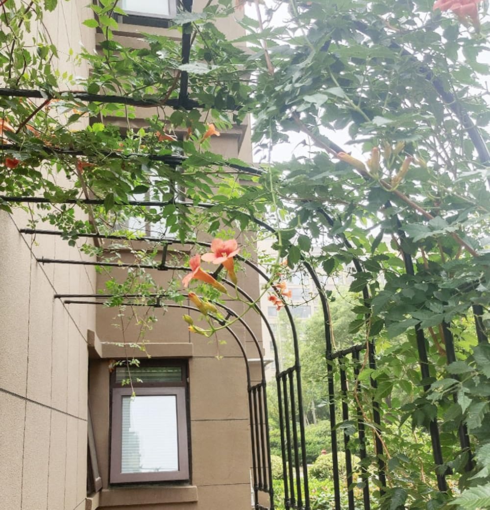 Arbor ad arco in acciaio da 2,5 m – Traliccio da giardino a mezzo arco, telaio in metallo nero resistente per piante rampicanti, matrimoni, eventi, decorazioni paesaggistiche, decorazioni per cortile