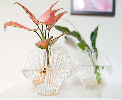 Miniatura 20 de Kingbuy Octagon Wall-Mounted Propagation Vase - 2 Pack Clear Glass Planters for Hydroponic Plants & Flowers, Indoor Wall Plant Holder, Unique Home