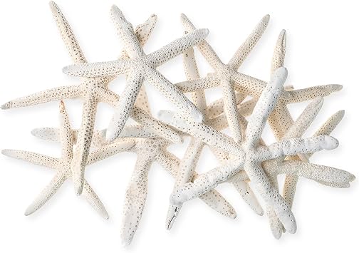 Nautical Crush Trading Starfish Decor - Star Fish for Craft - 10pk Uniquely Shaped 6-8" White Real Sea Stars - Beach Wedding Decor - Coastal Party Decorations