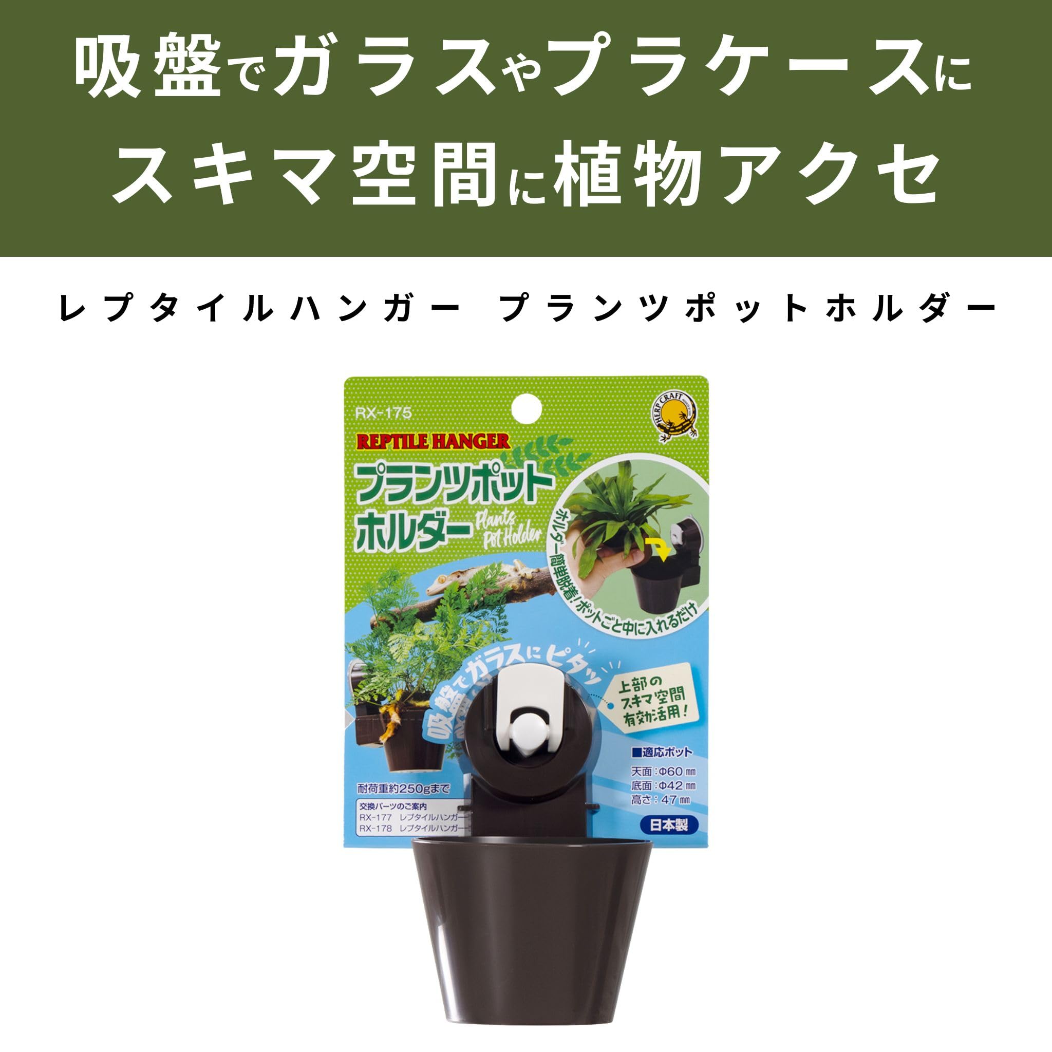 Amazon | スドー クレス お迎え 6点 飼育セット レプティギア・ハイ300