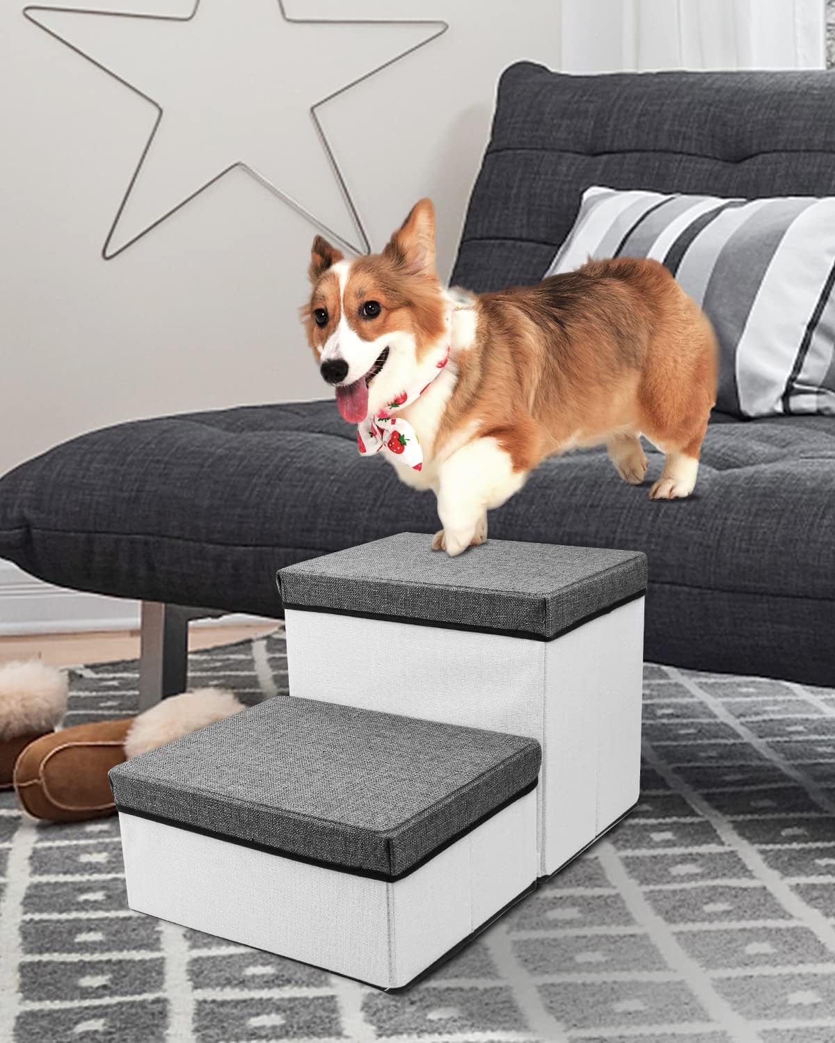 Buy TNELTUEB Folding Pet Stairs,2 Steps Foldable Dogs Stair for Small