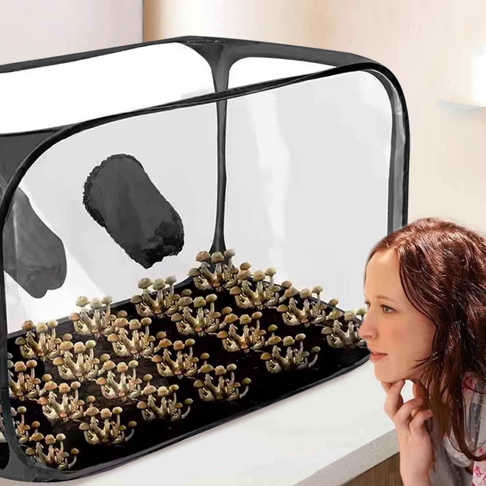 Tente de Culture, boîte à air immobile 38x20x25 Pouces, Tente de Culture Champignons en Plastique Transparent, boîte Champignons Portable Pliable pour Spores, Fournitures d'horticult