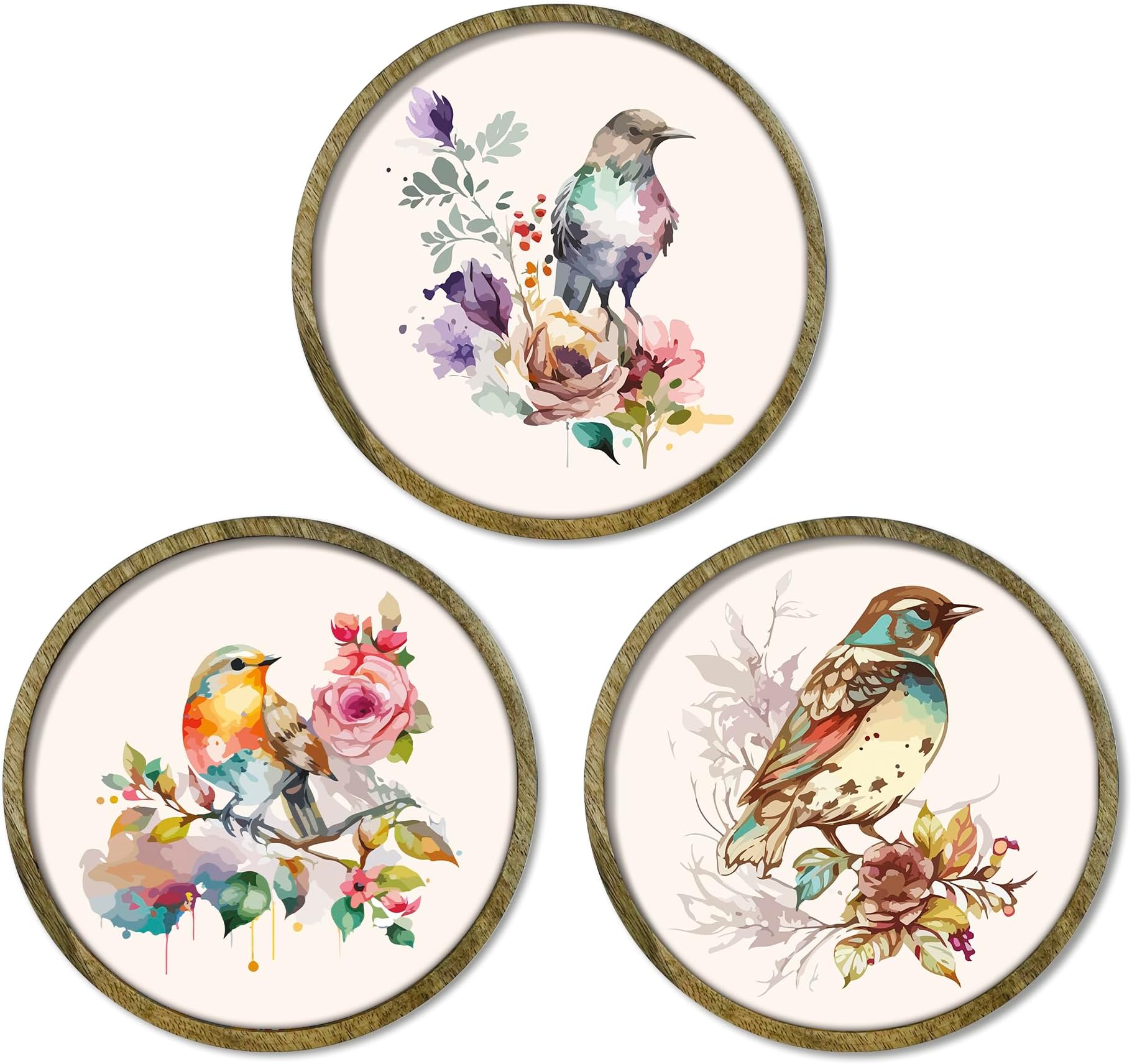 RAG28 Bird Art Wooden Wall Plates Set of 3 | Home Decor Items | Home Decor for Living Room, Bedroom Office (Size: 8 X 8 Inches Each, DP11)