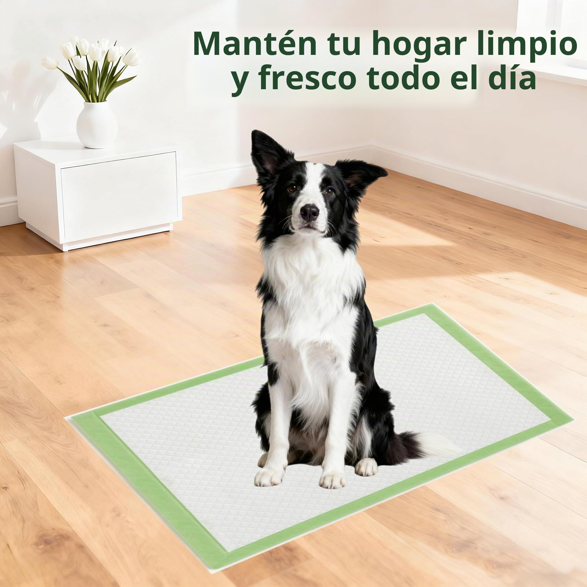 Almohadillas de Adiestramiento para Mascotas Extra Grandes 90x60cm, Mascotas Empapadores Desechables Verdes, Diseño de 5 Capas a Prueba de Fugas, para Perros/Cachorros/Gatos/Conejos (50 Piezas)