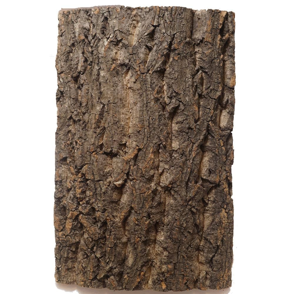 おもち　S141+g173 ポルトガル産 厚め コルク樹皮 コルク板 おもち S141+g173 ポルトガル産 厚め コルク樹皮 コルク板 S141